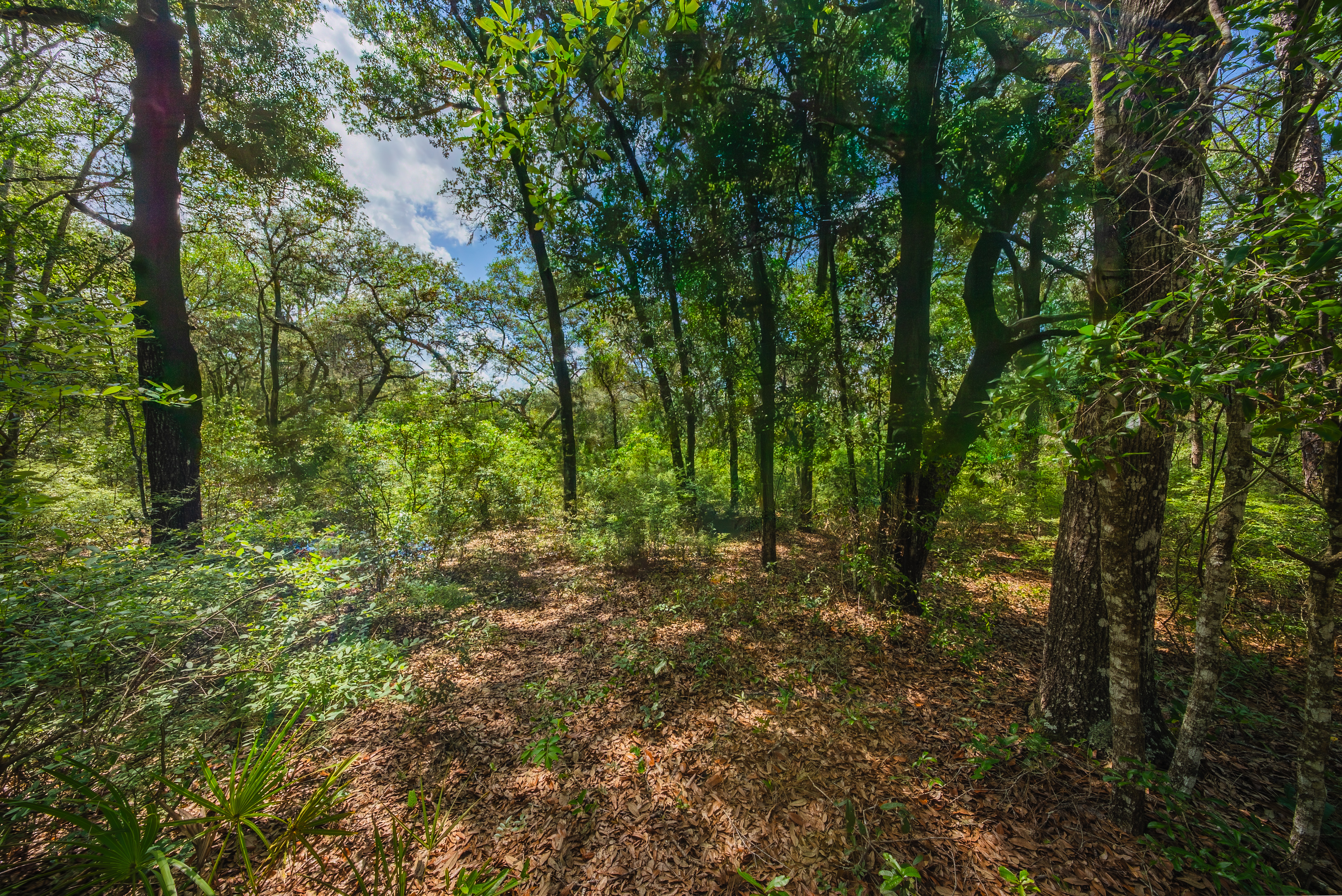 Property View 7