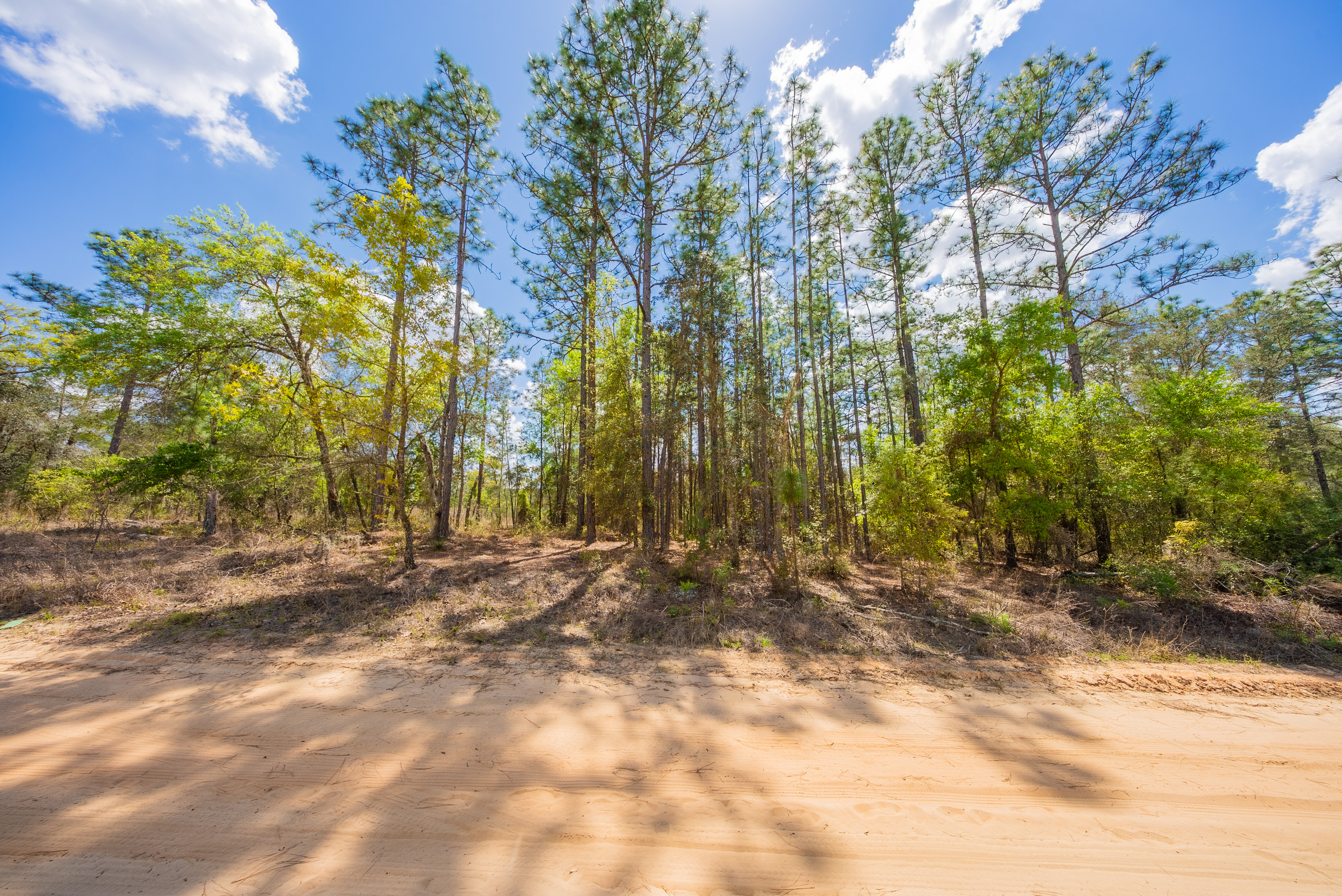 Property View 10