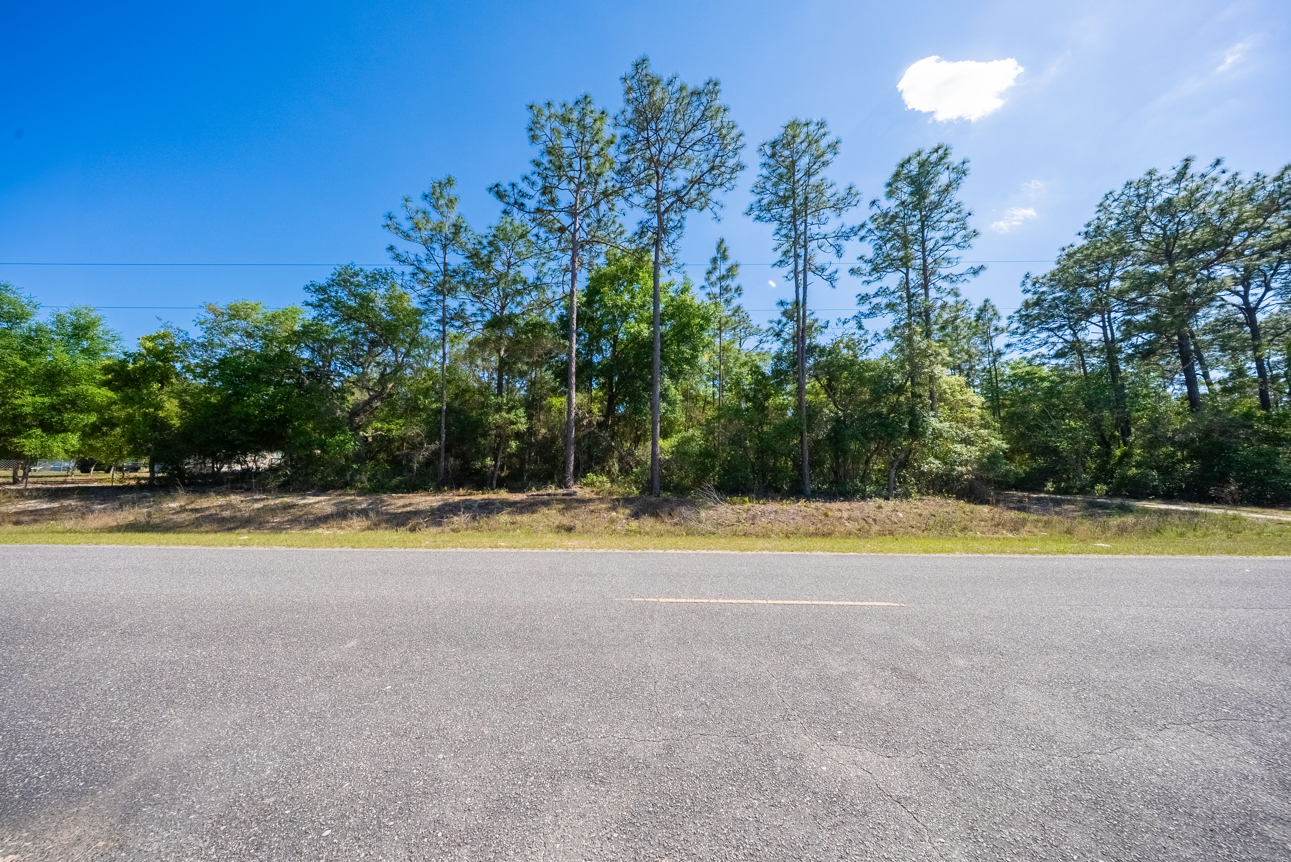 Property View 9