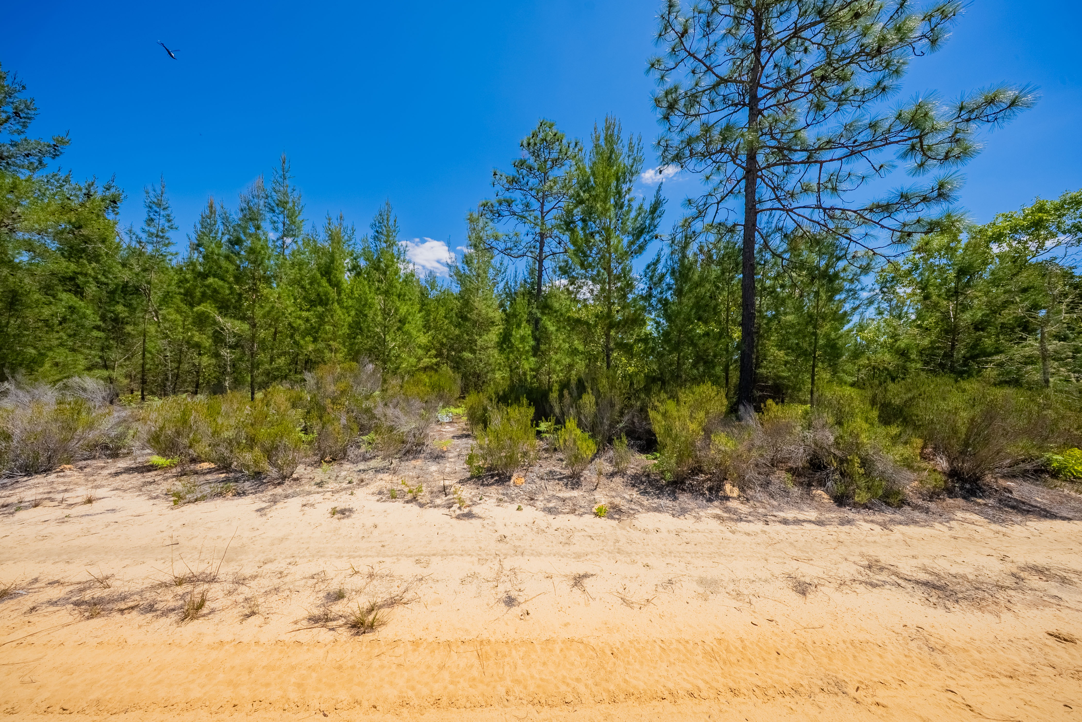 Property View 9