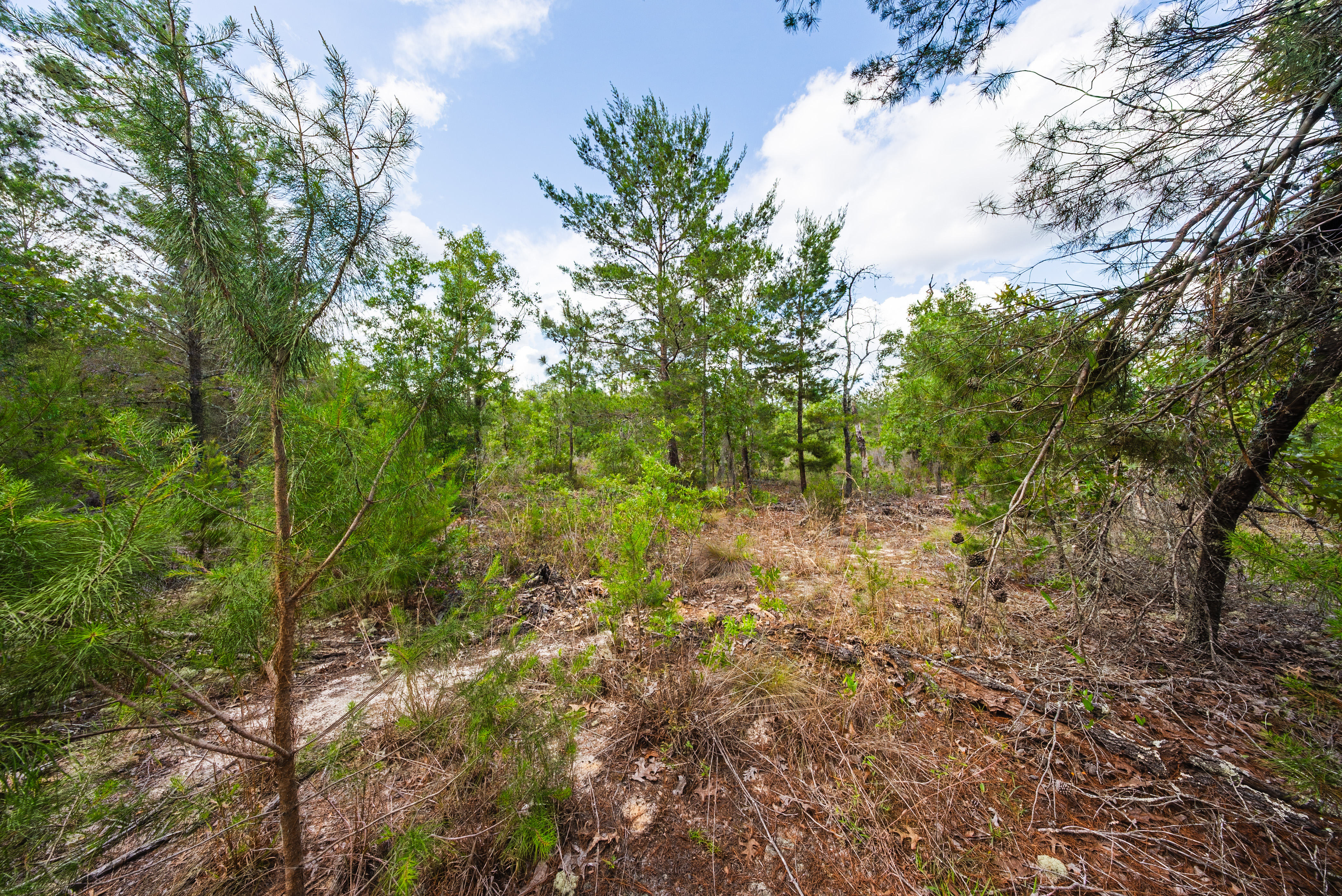 Property View 9