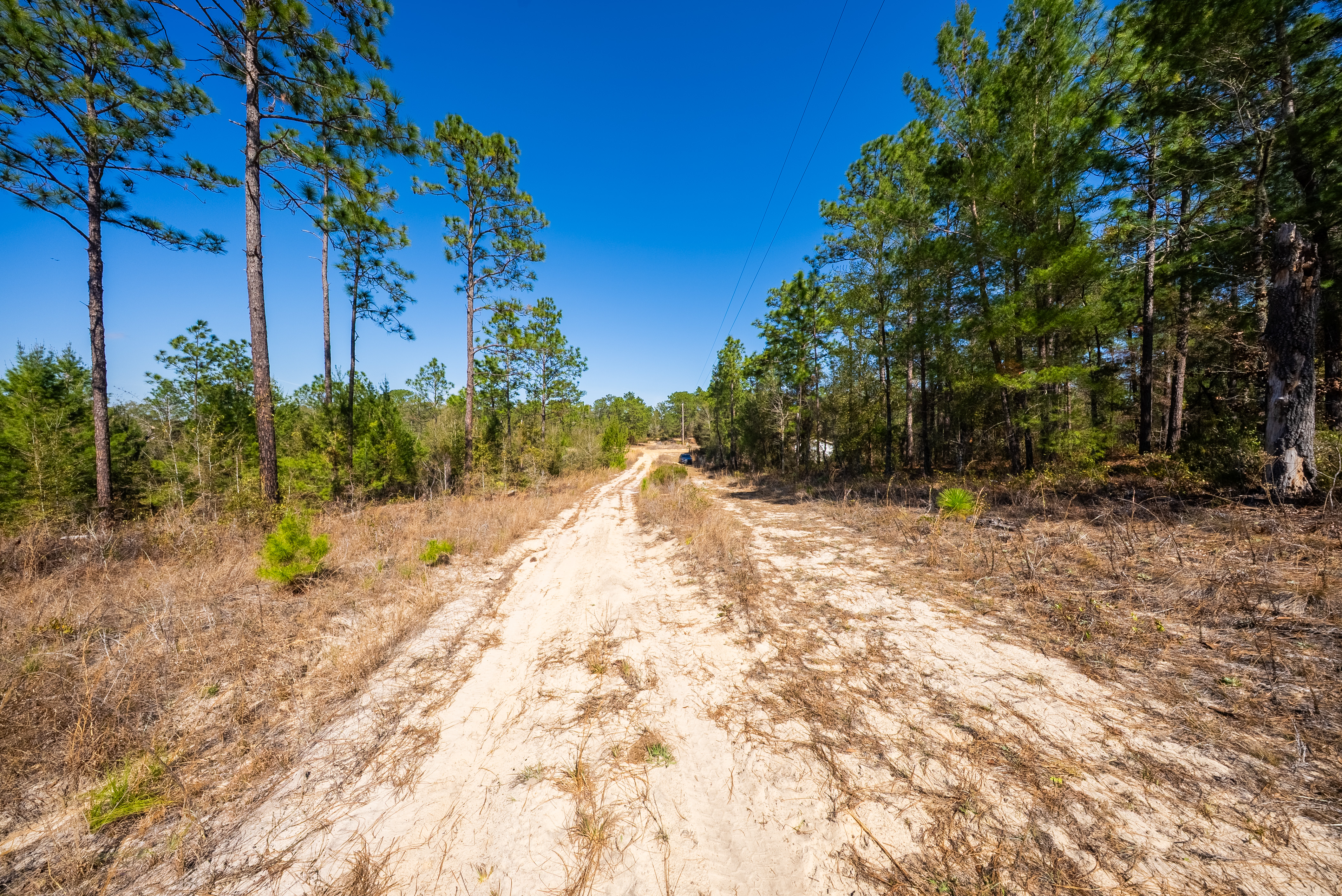 Property View 5