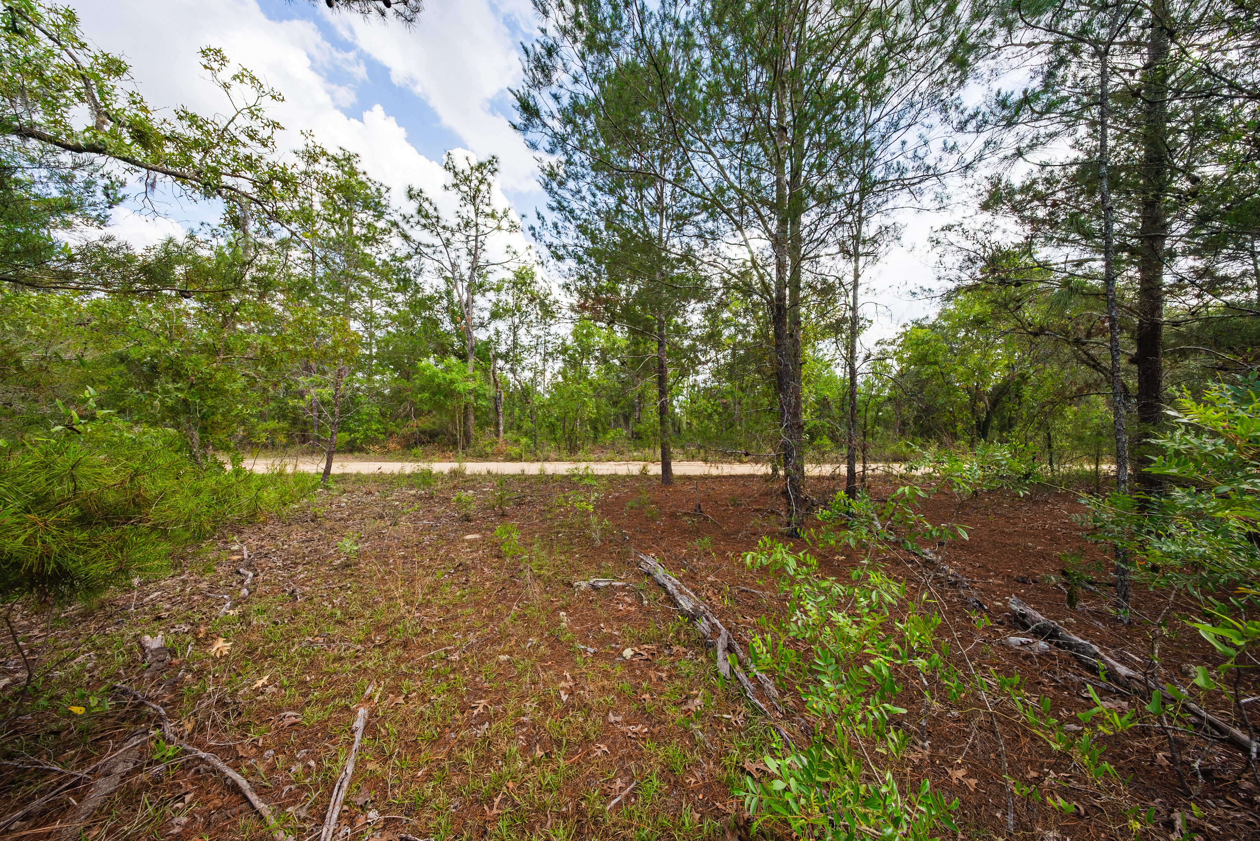 Property View 10