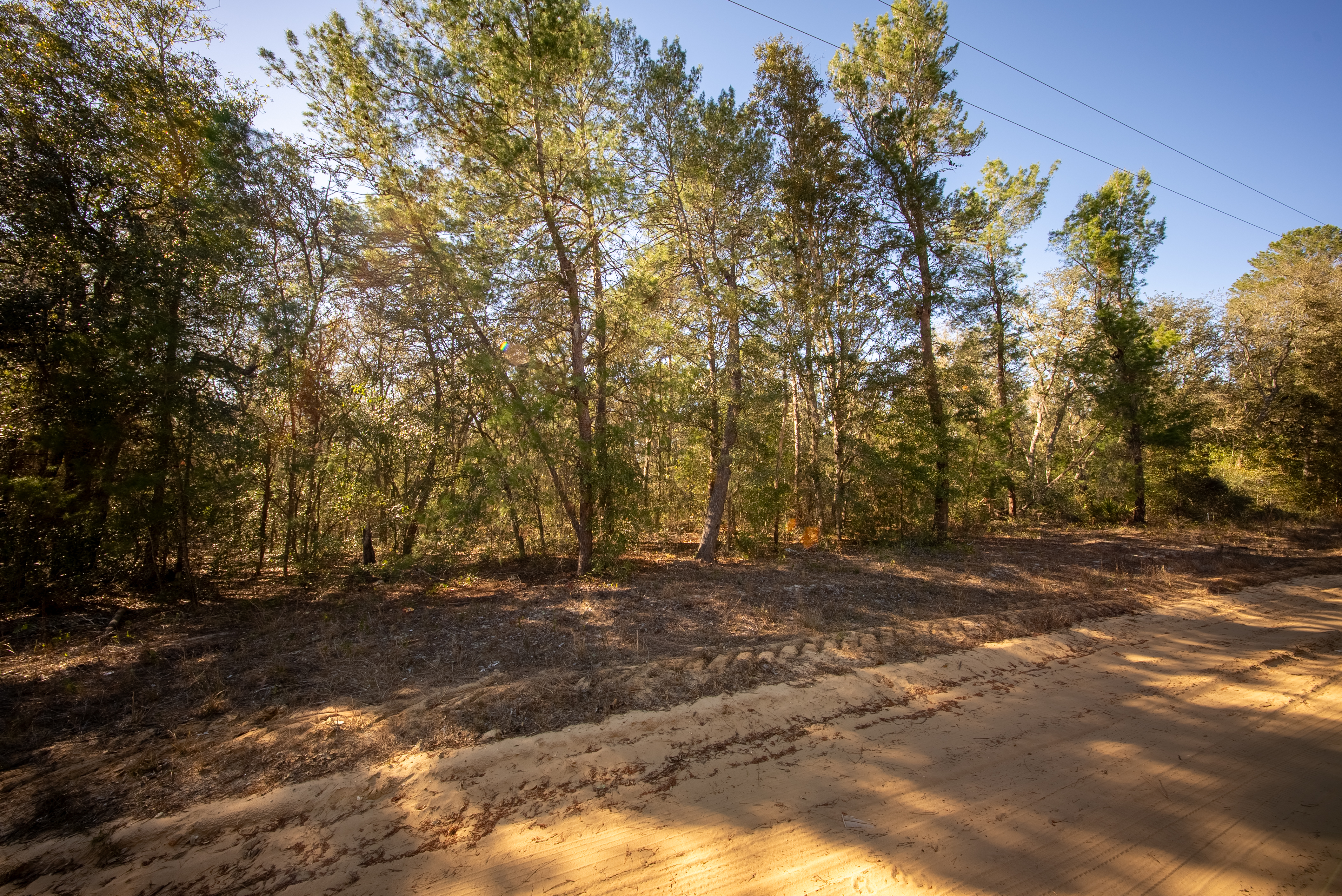 Property View 10