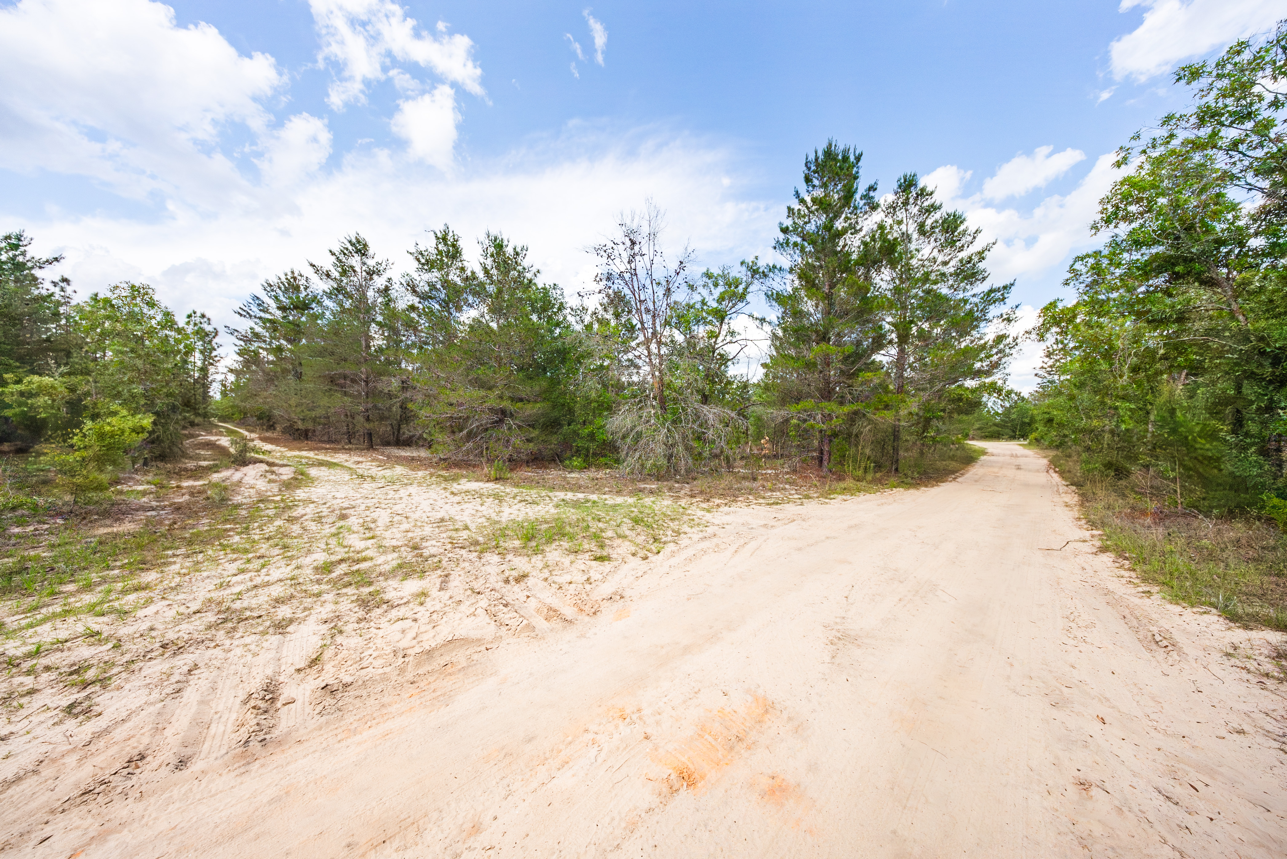 Property View 7