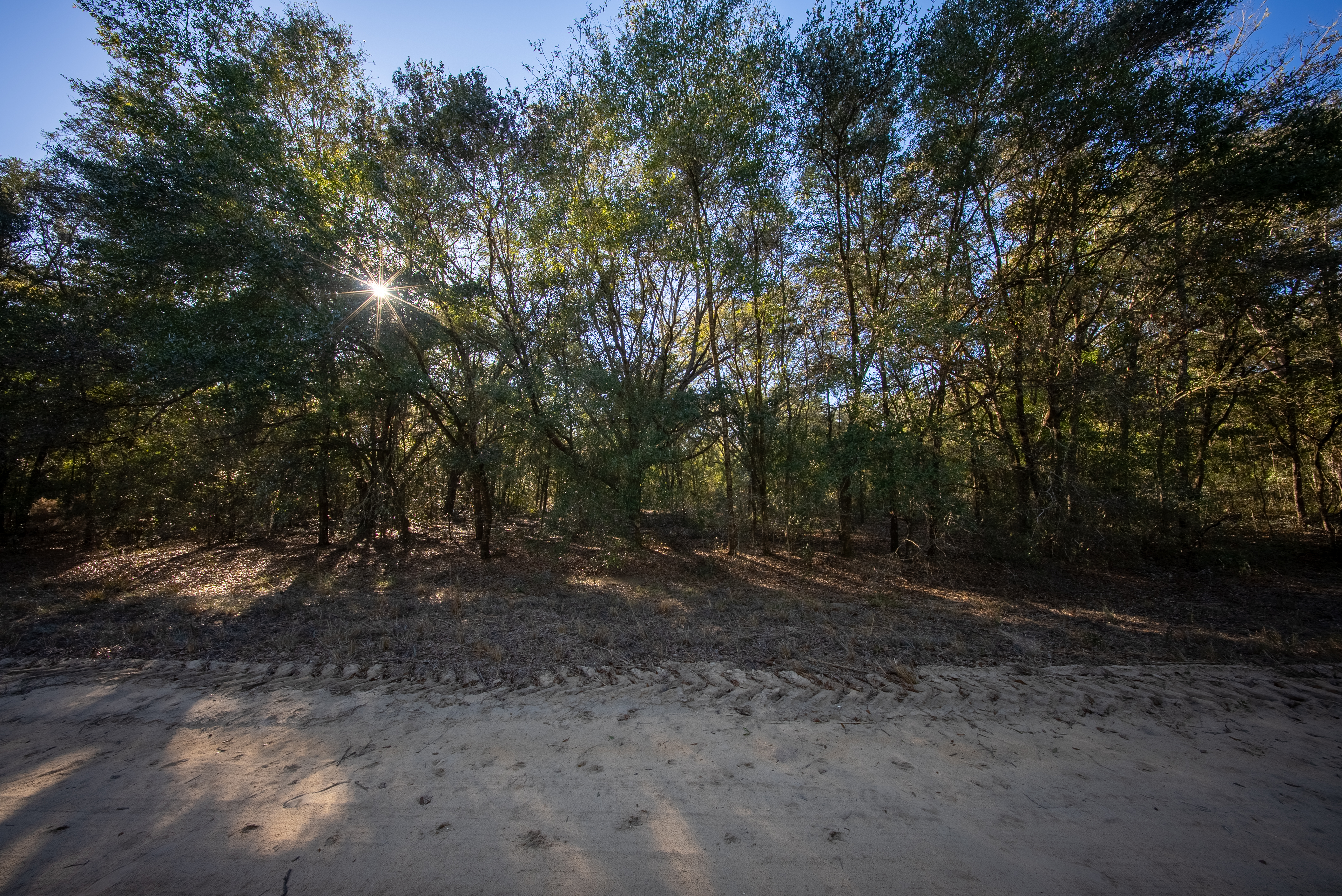 Property View 9
