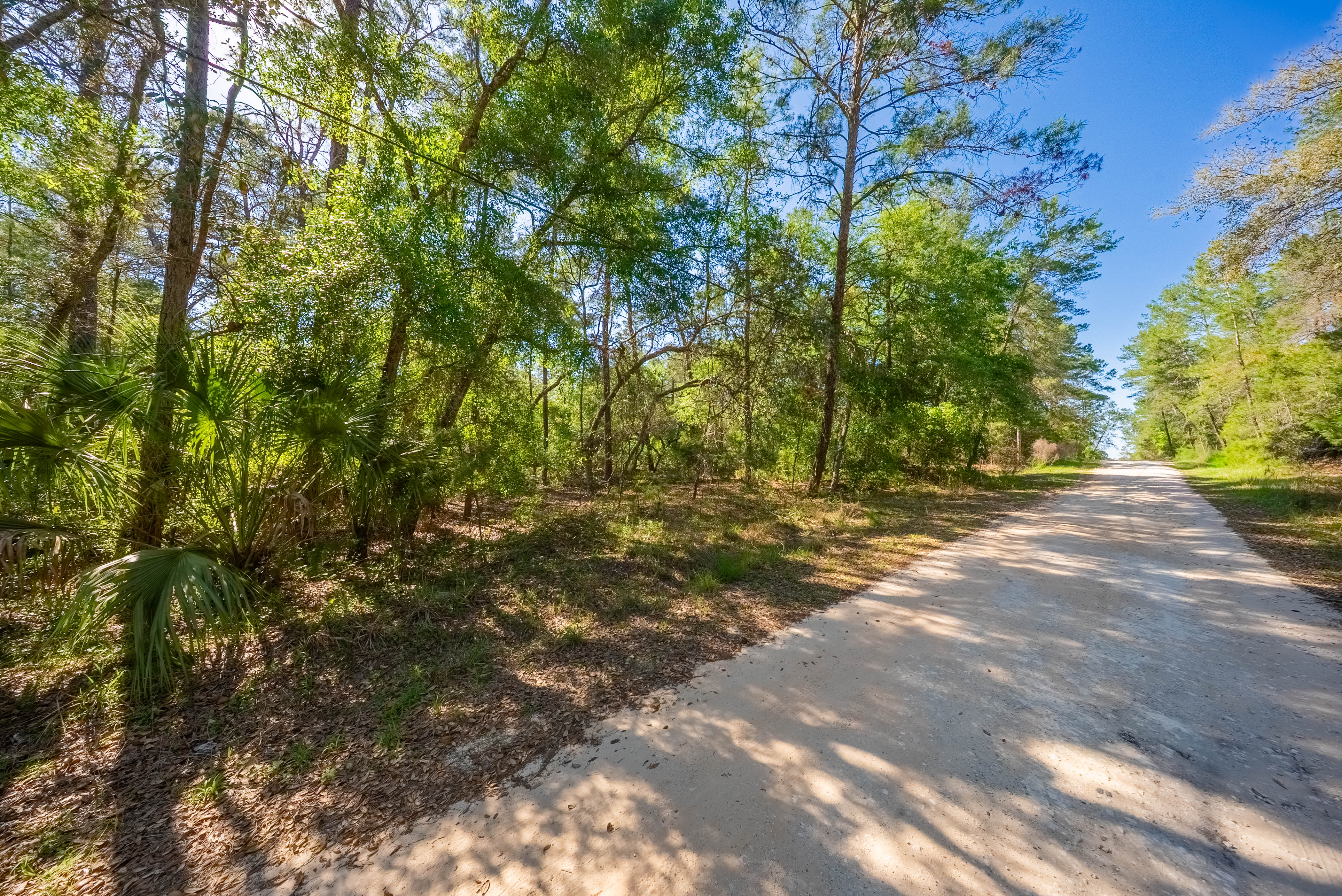 Property View 12
