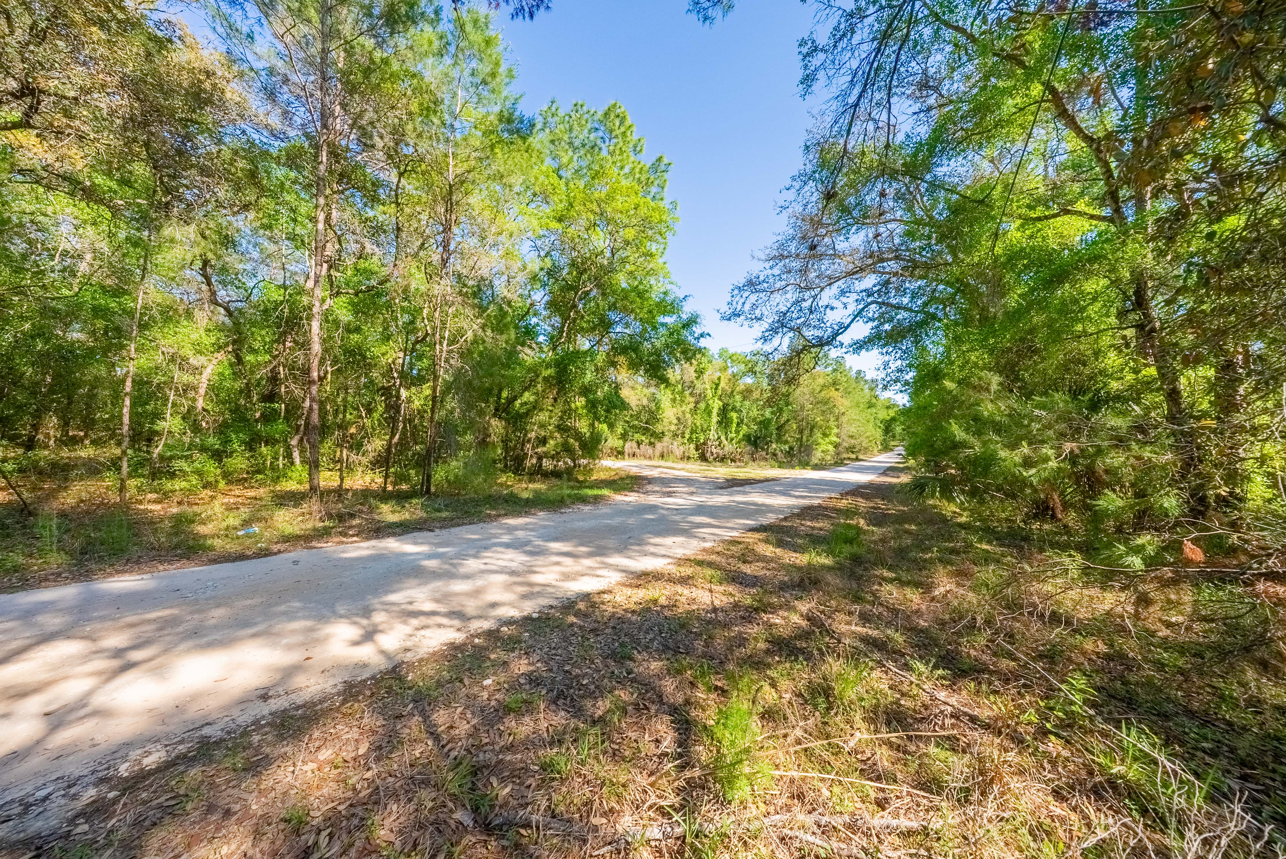 Property View 15