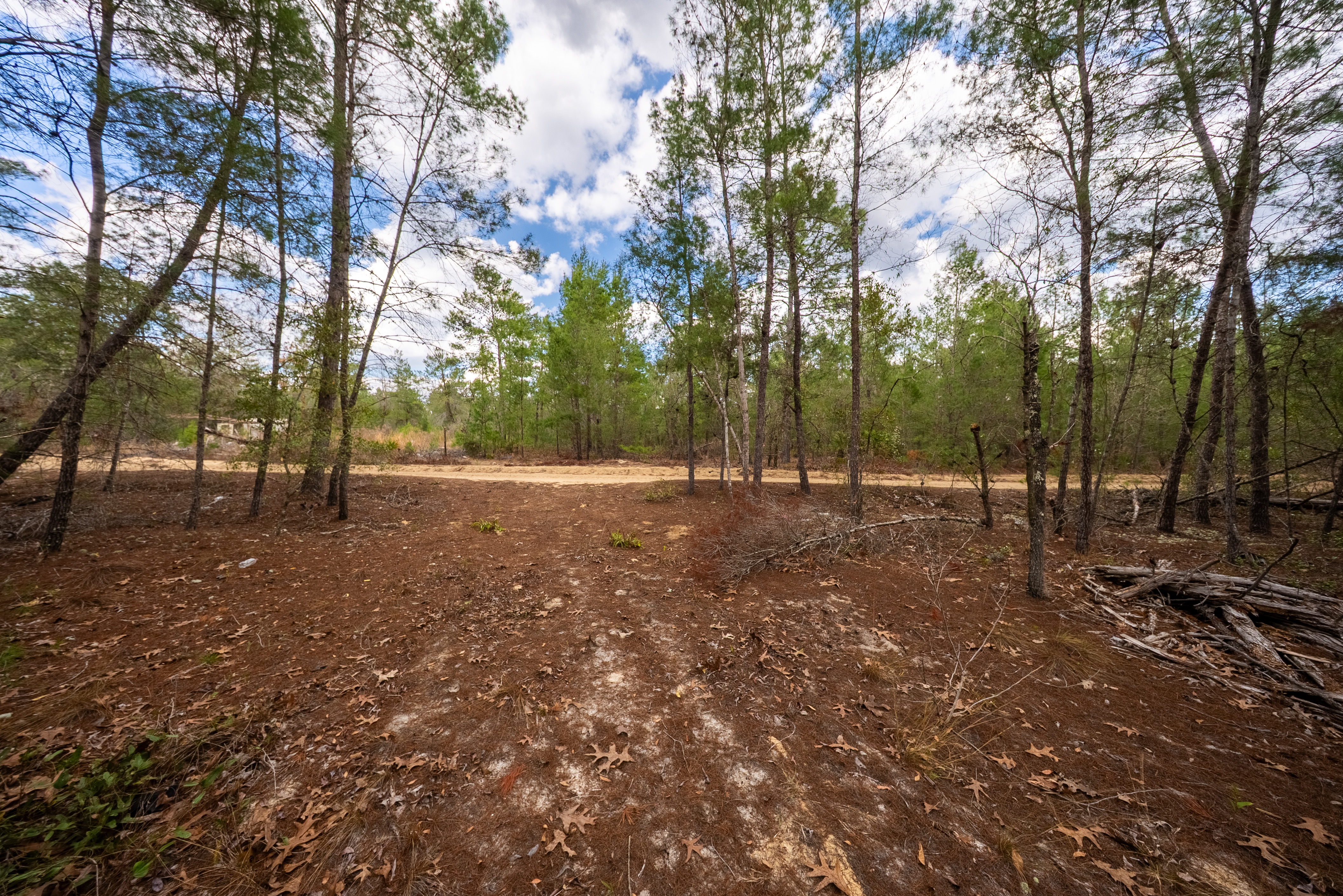 Property View 12