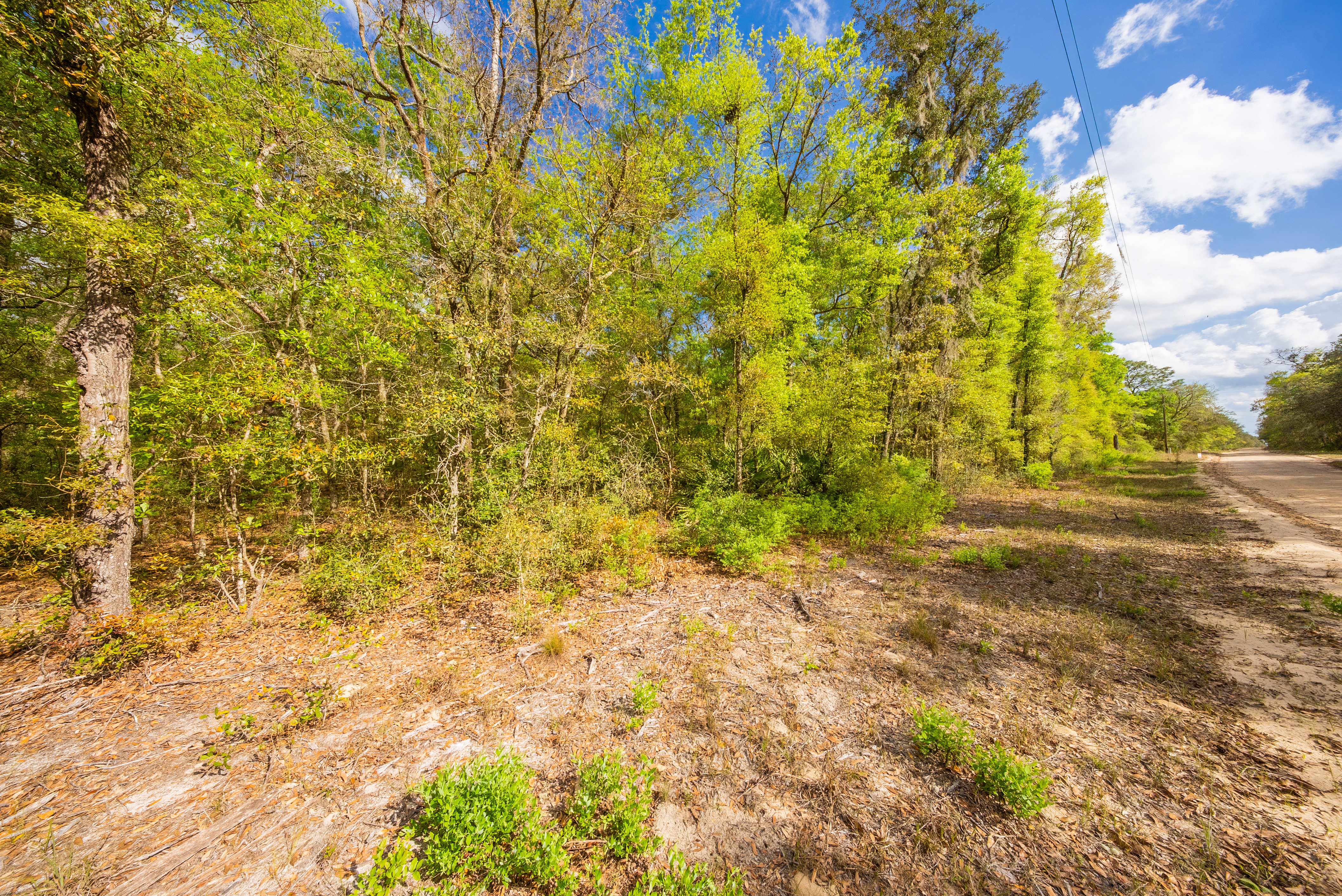 Property View 5