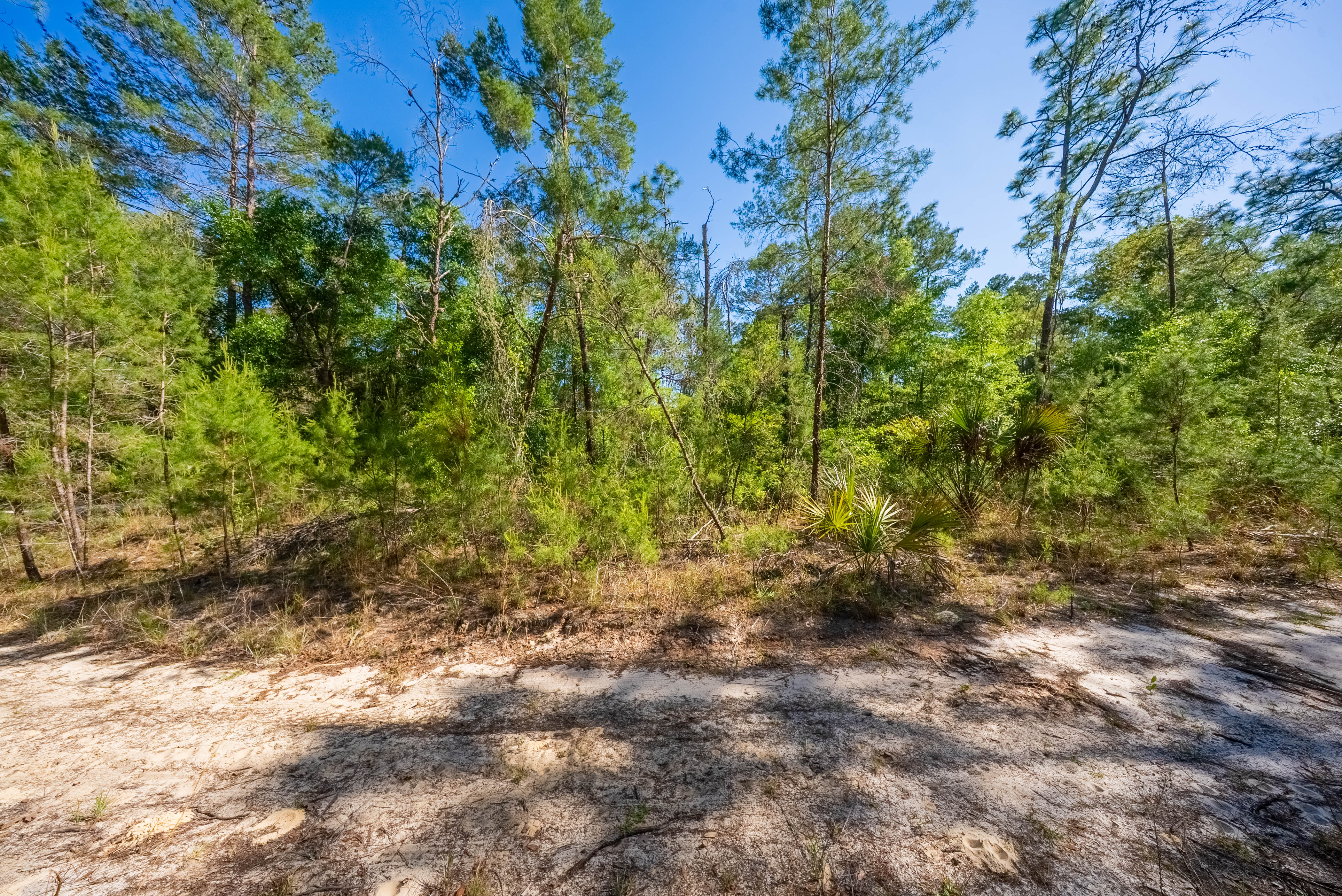 Property View 9