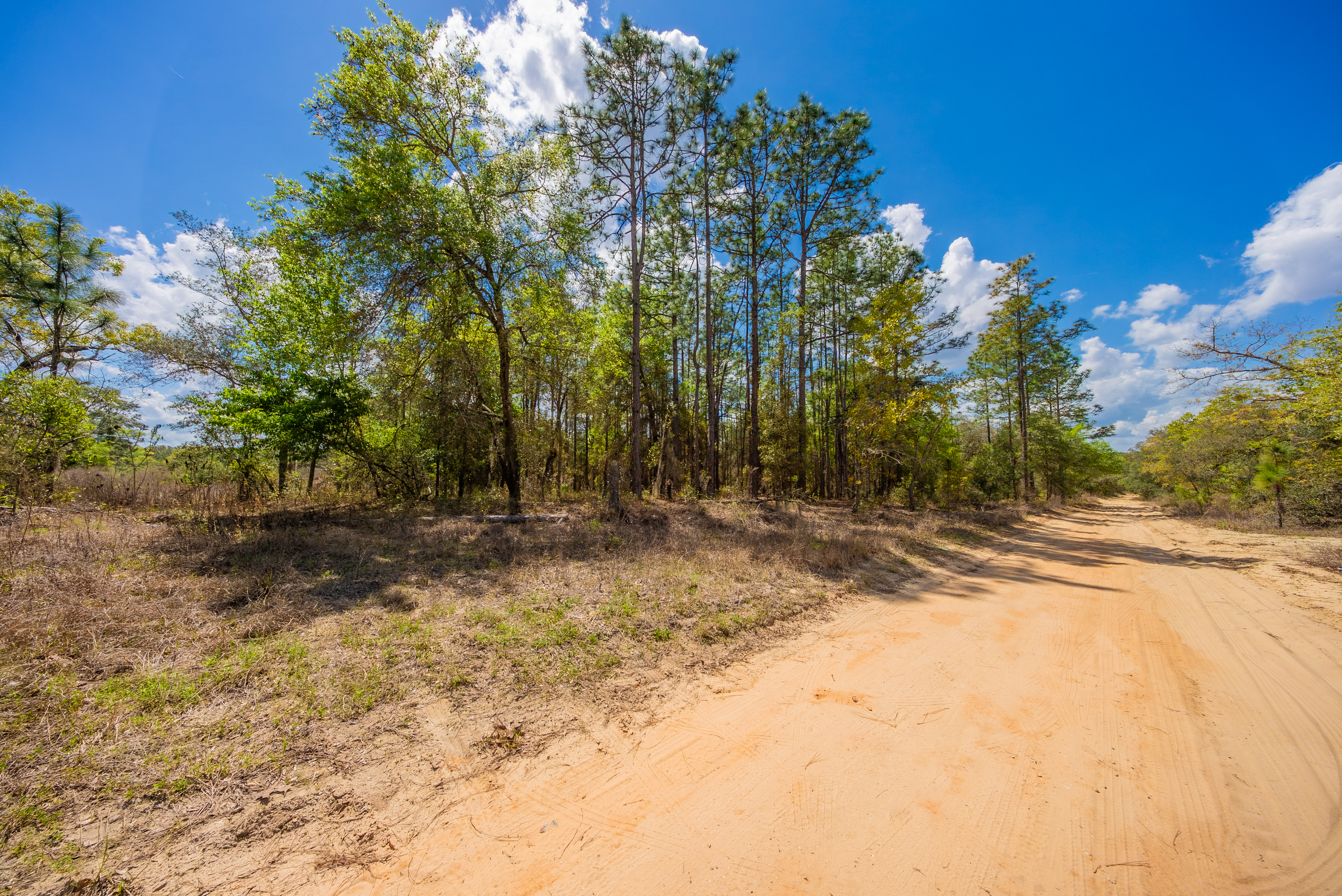 Property View 9