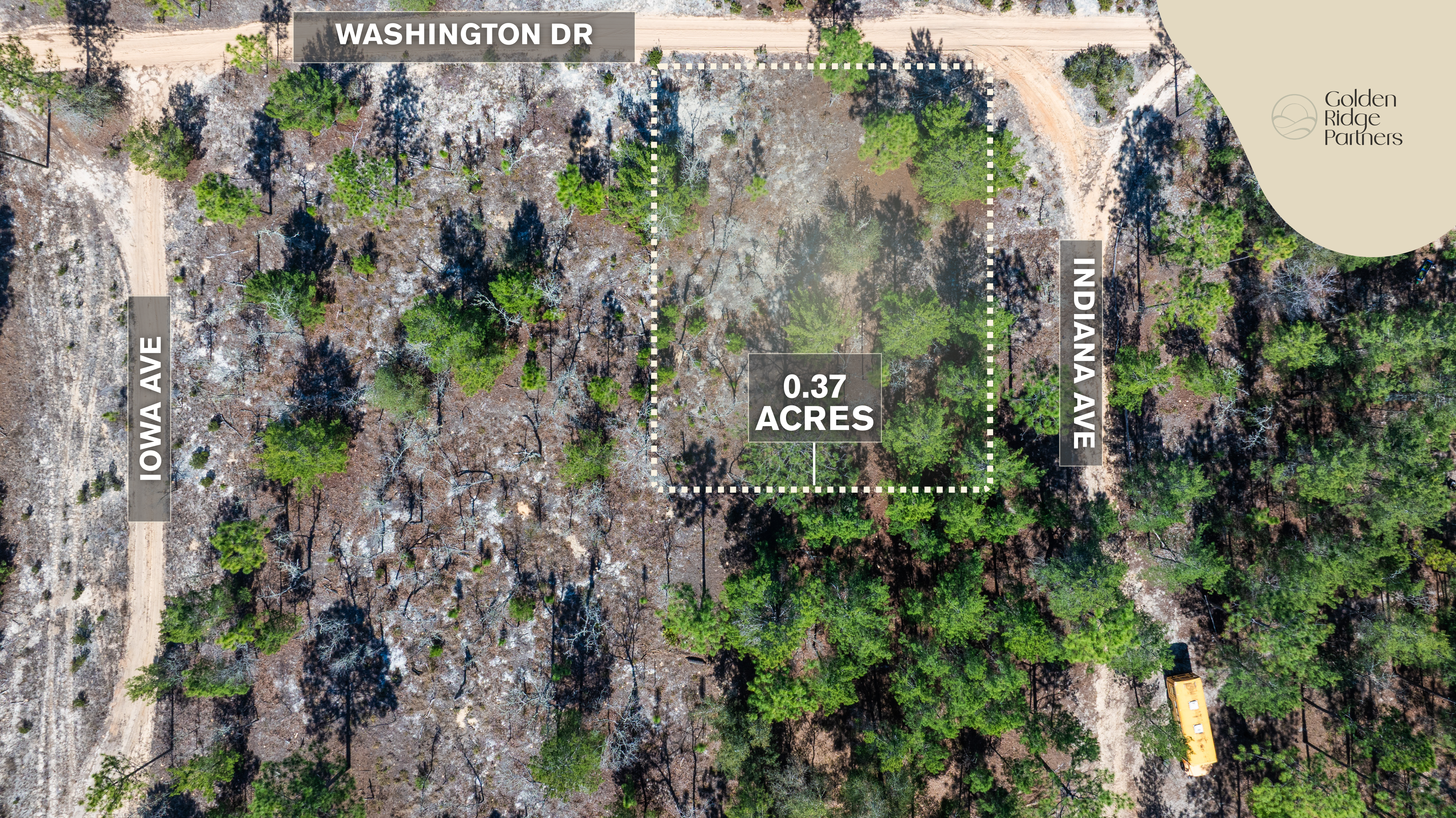 The High-Ground Corner: 0.37 Deeded Acres in Wild Florida