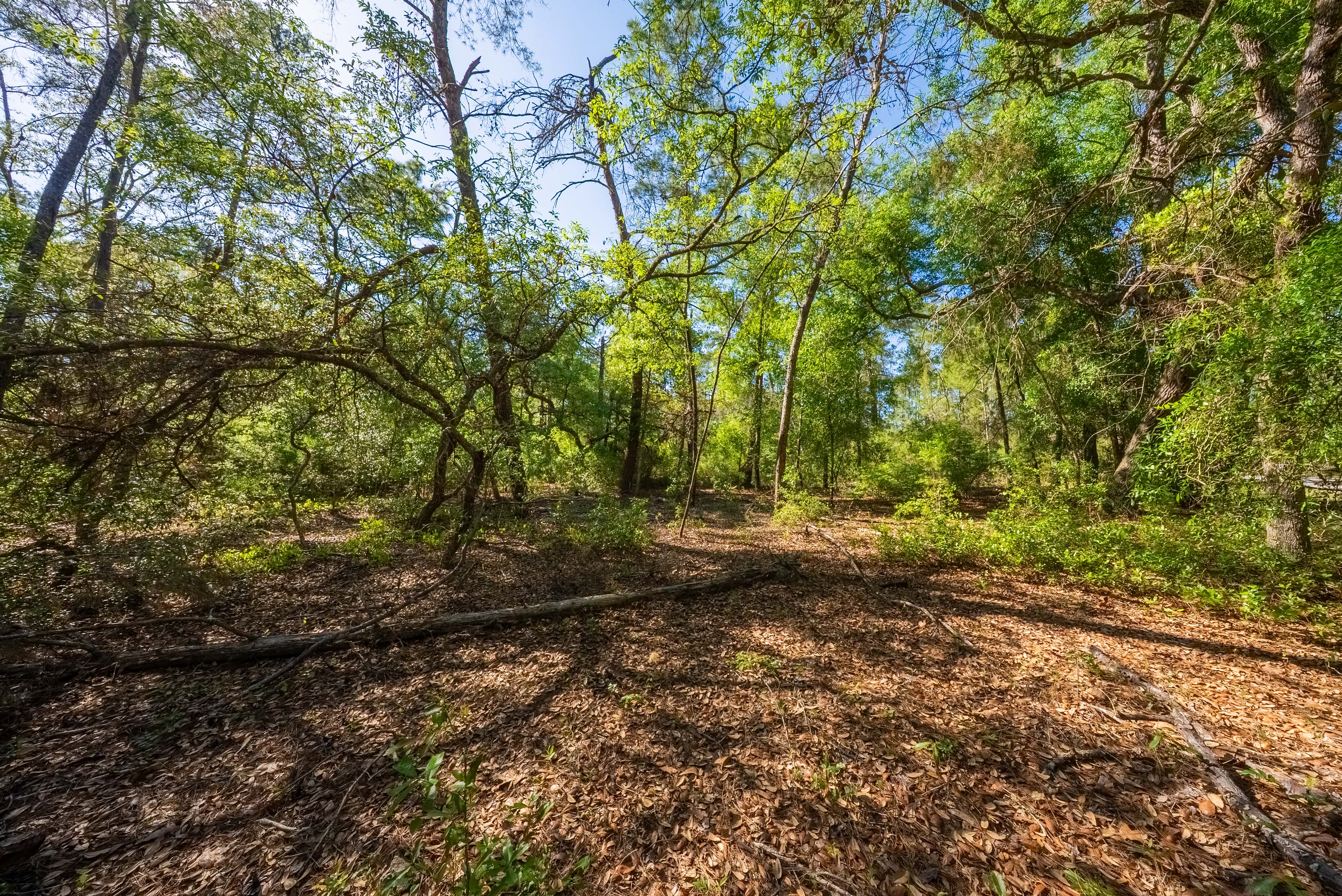 Property View 14