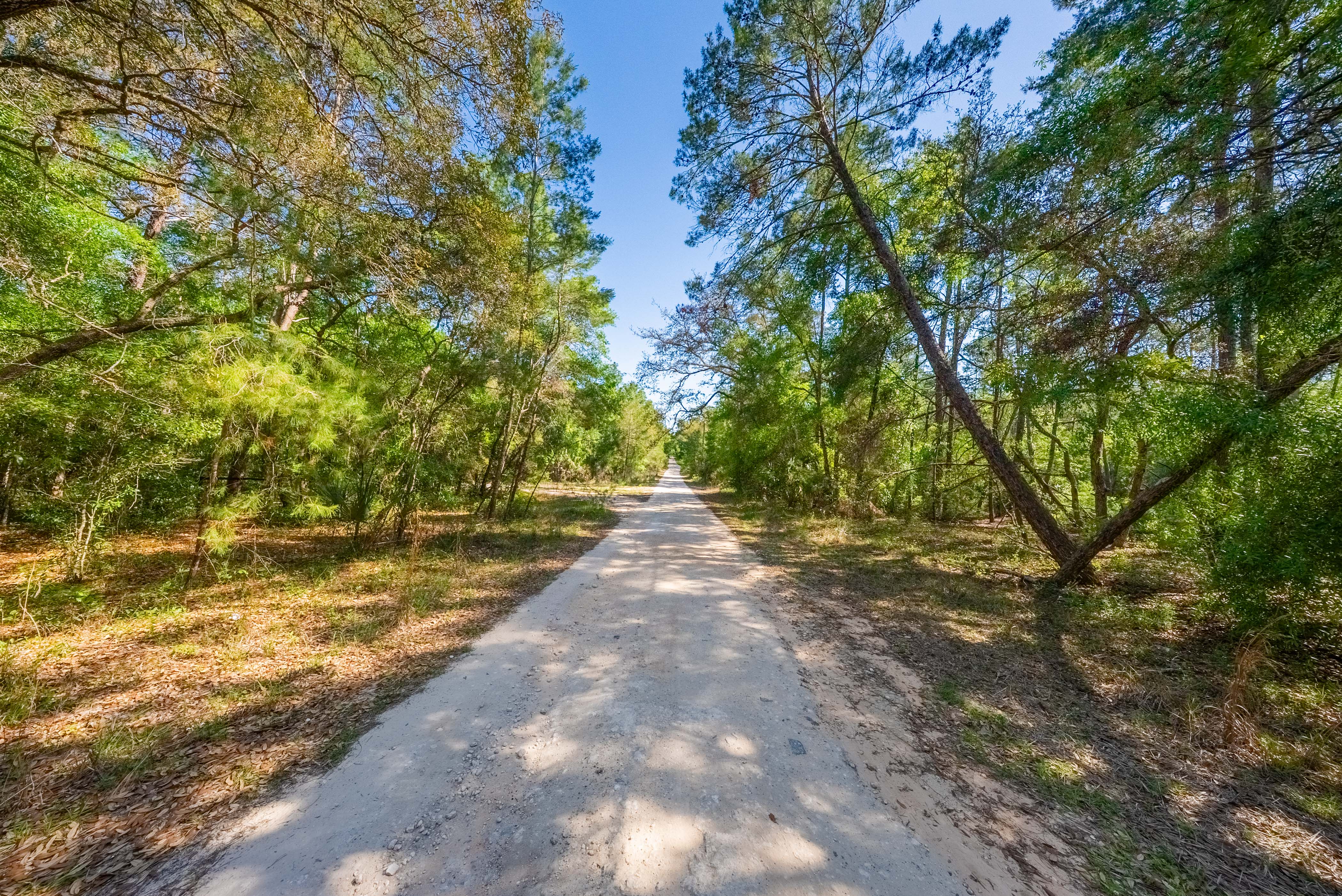 Property View 10