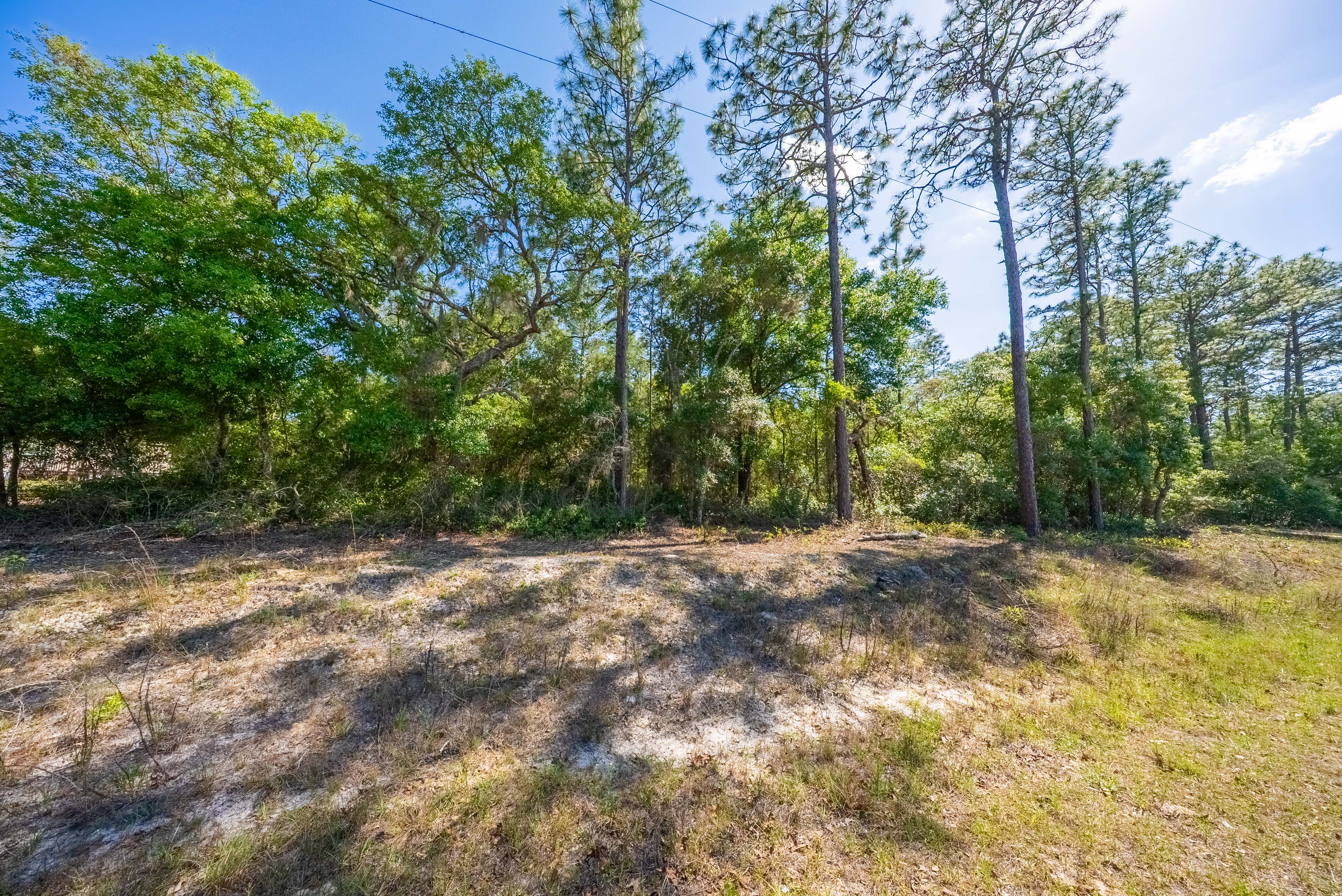 Property View 10