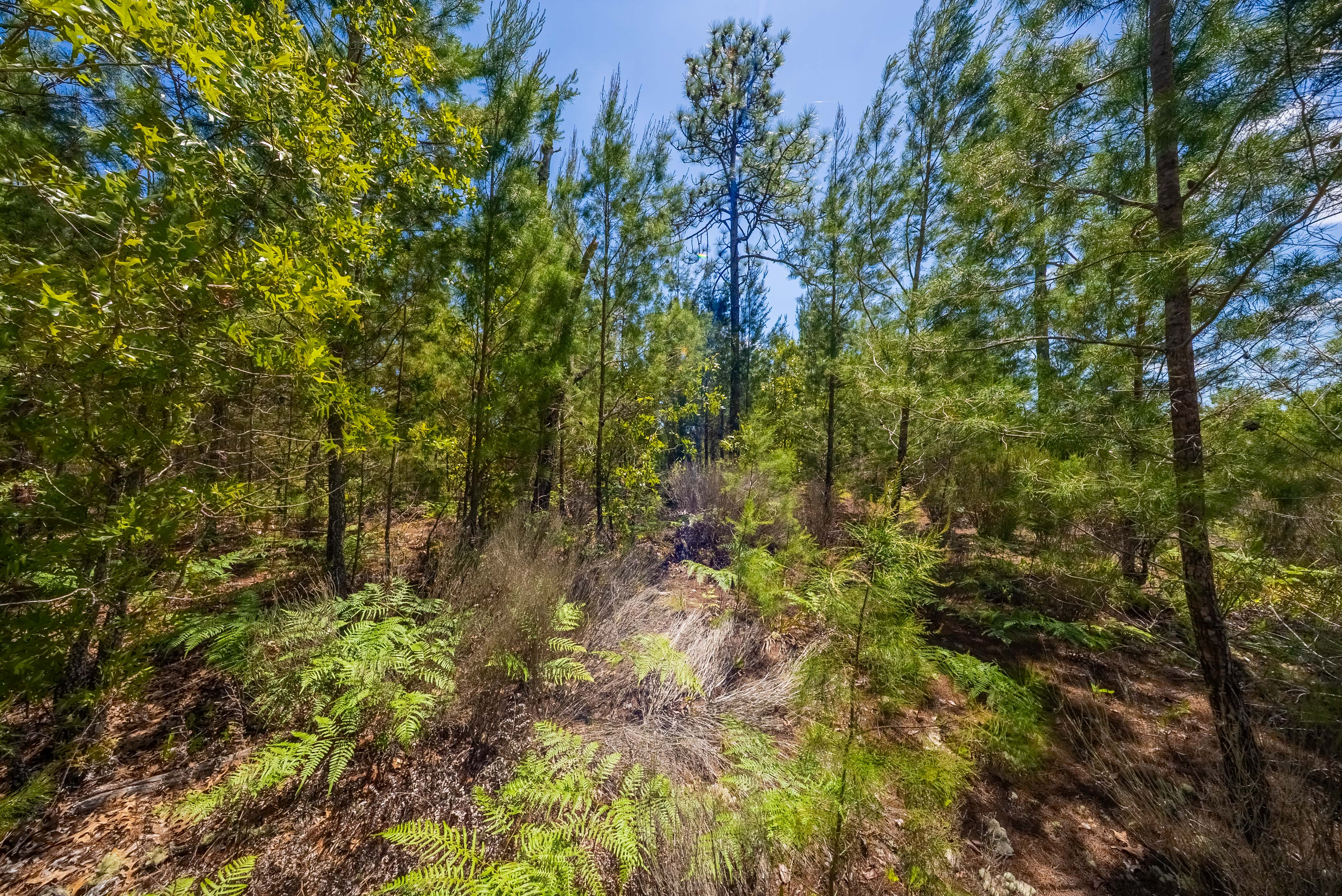 Property View 12