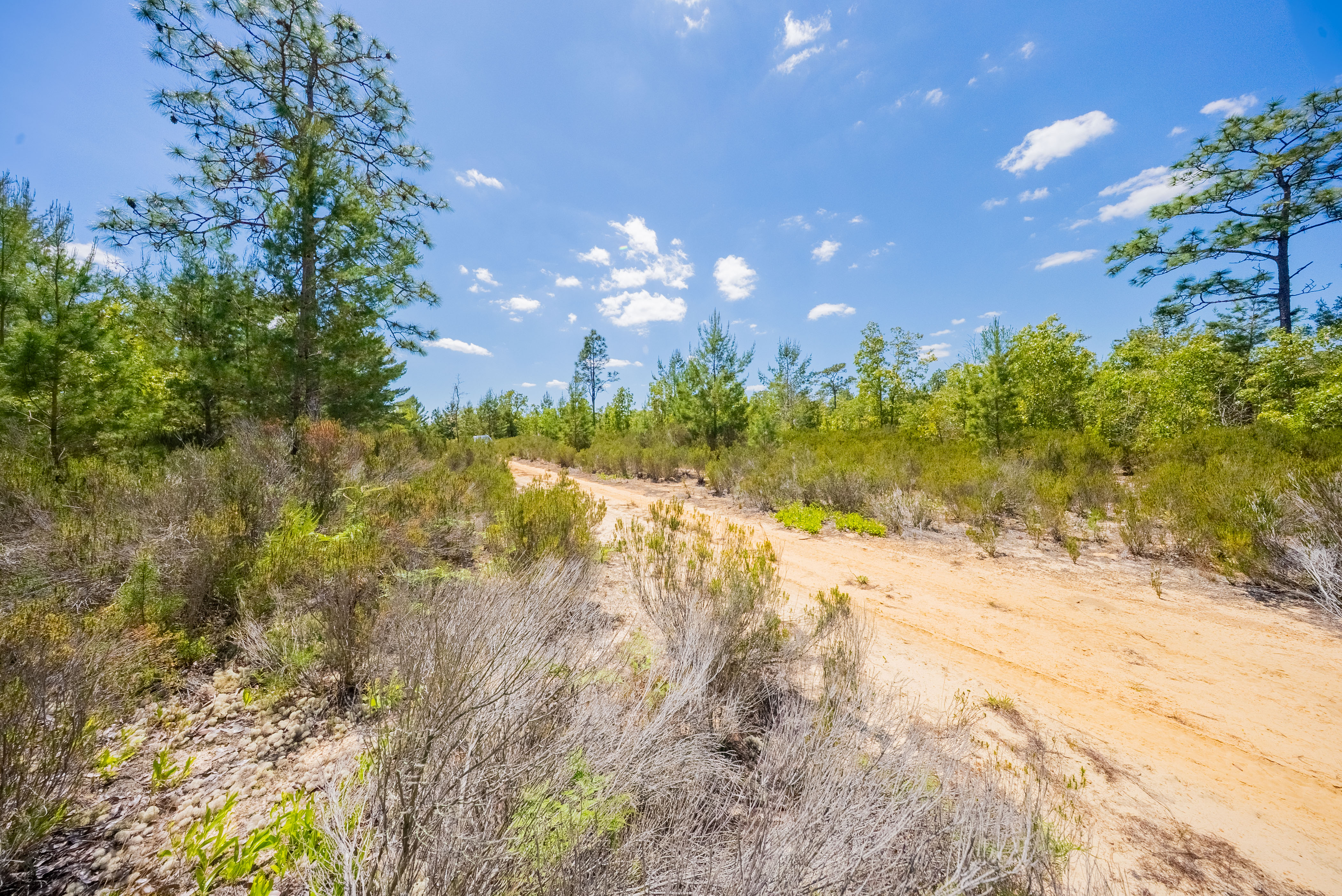 Property View 14