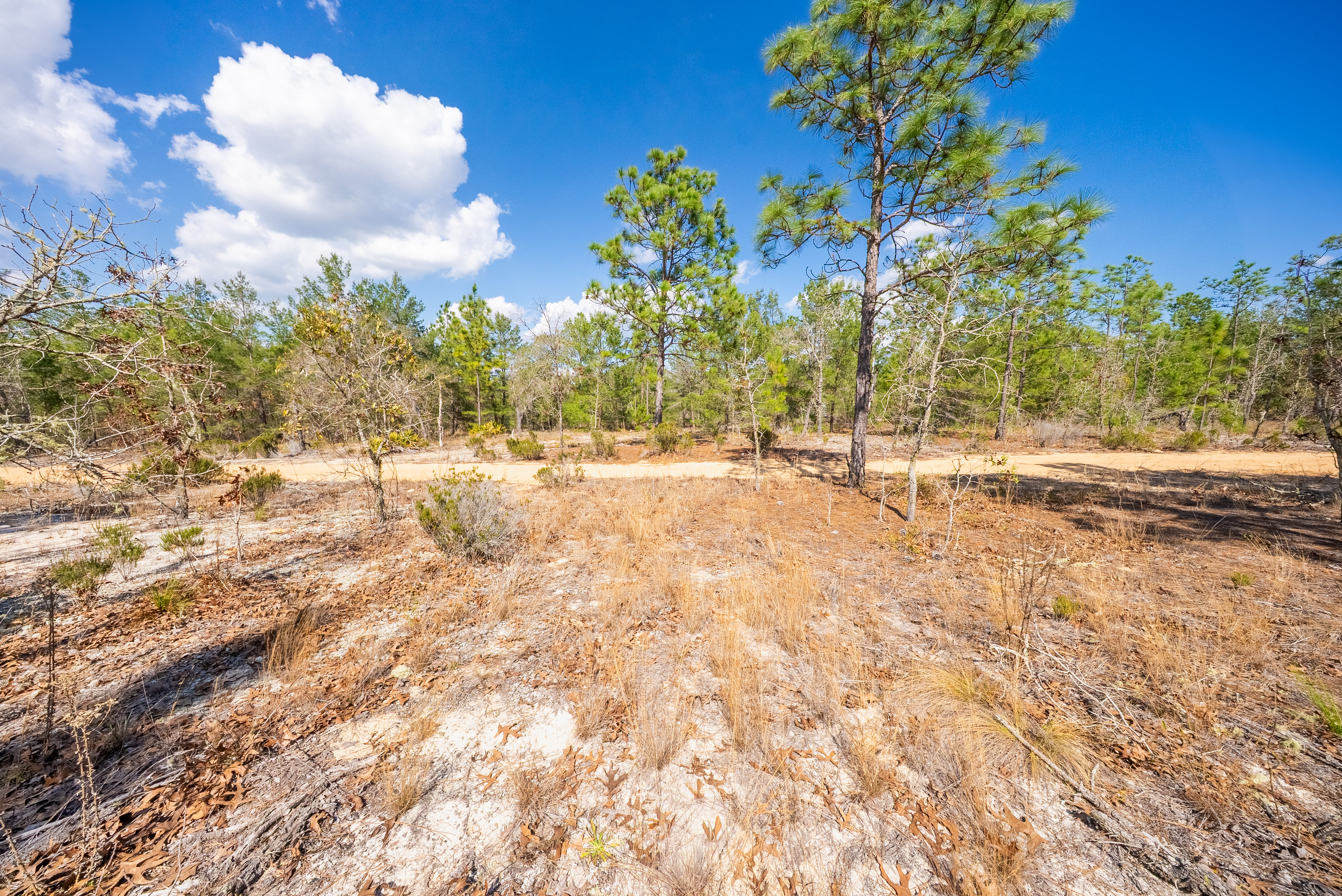 Property View 13