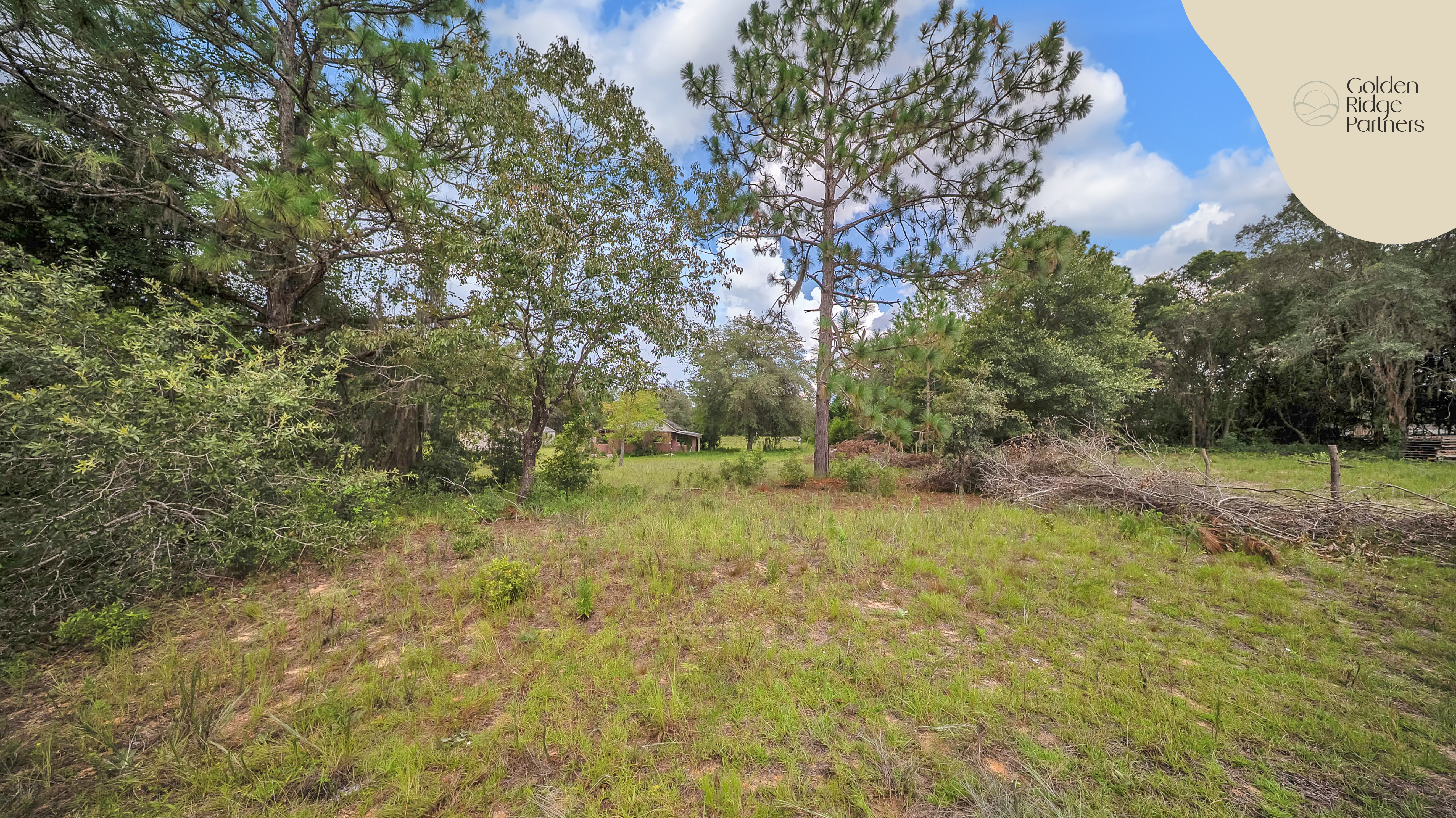 Property View 10