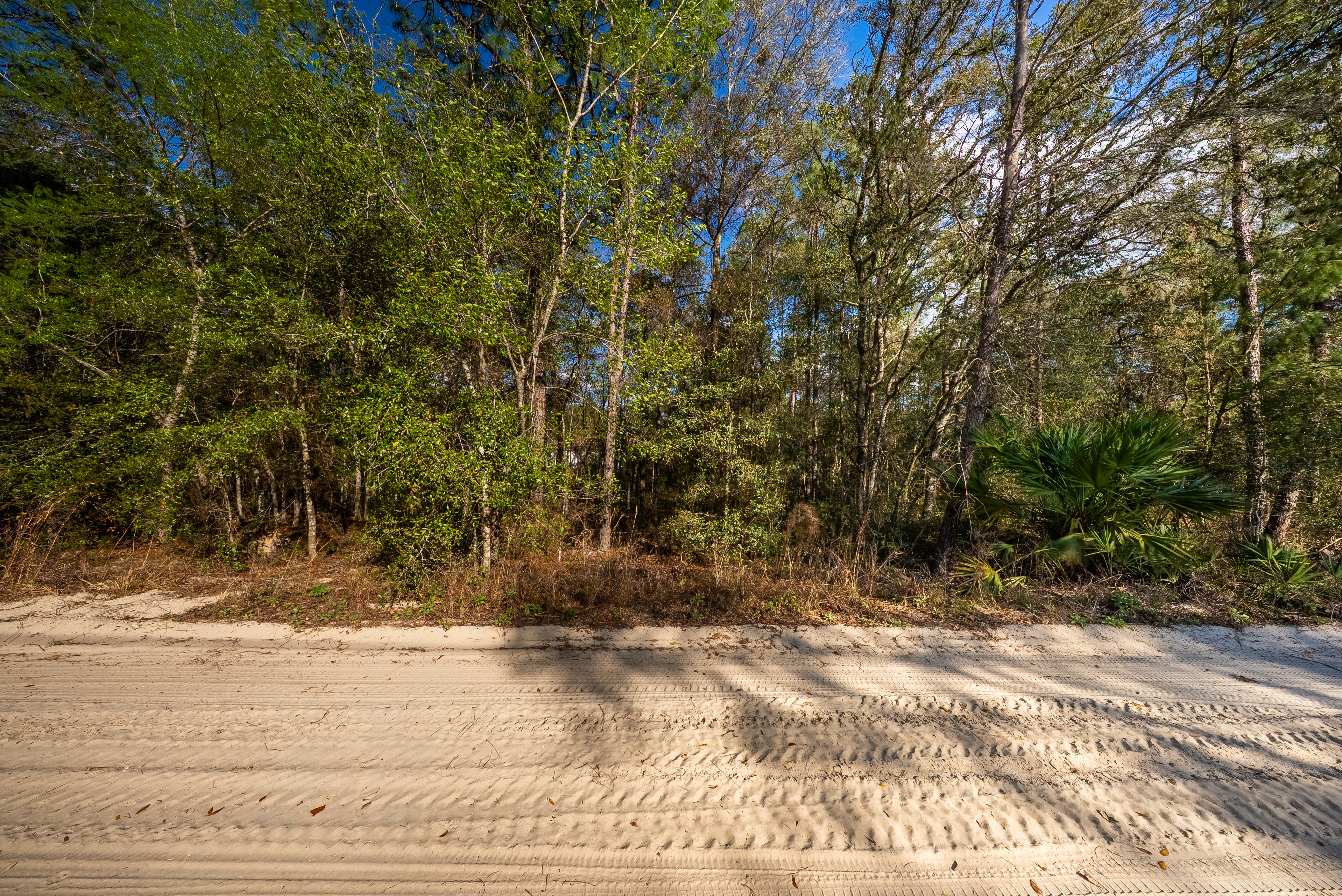 Property View 11