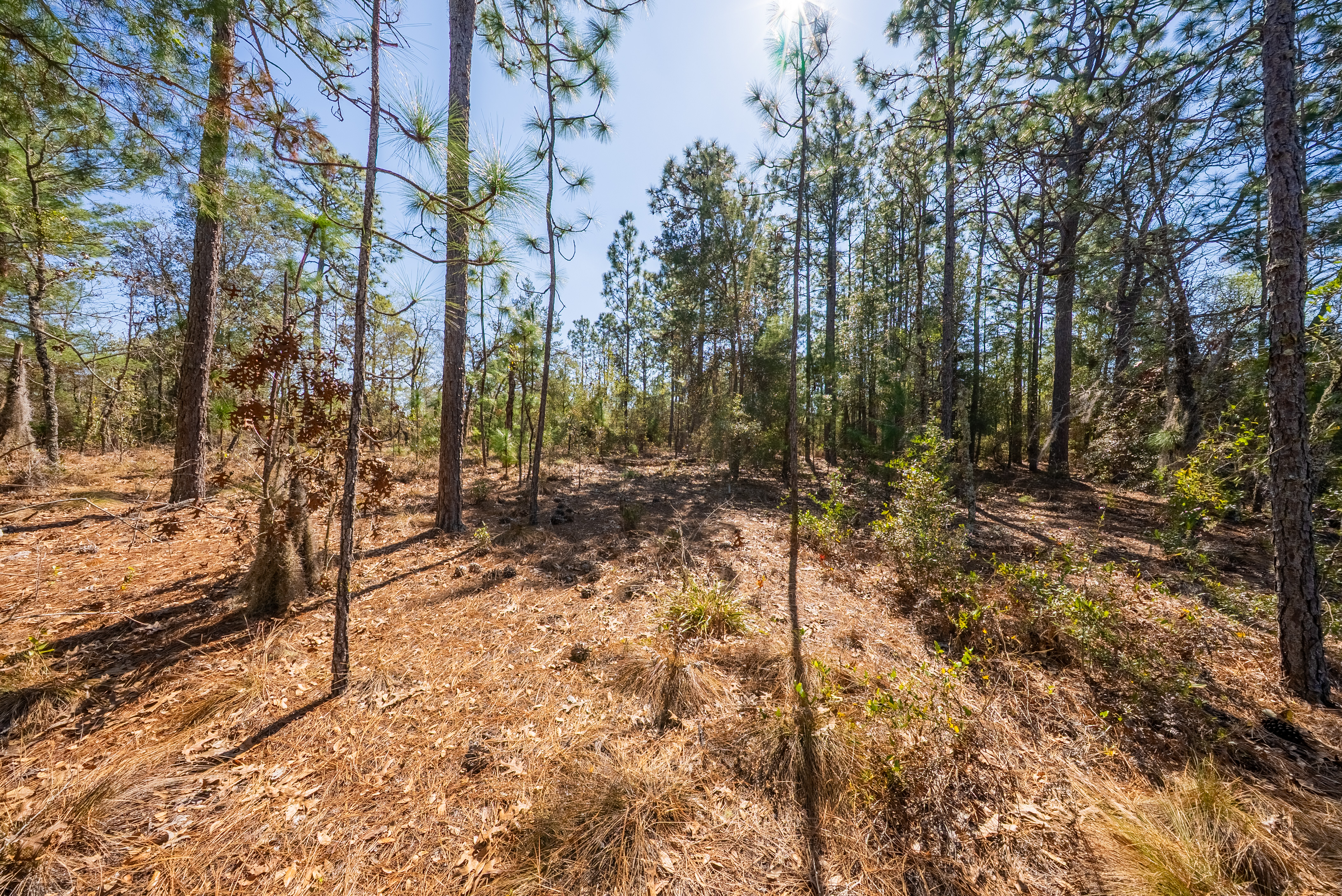 Property View 8