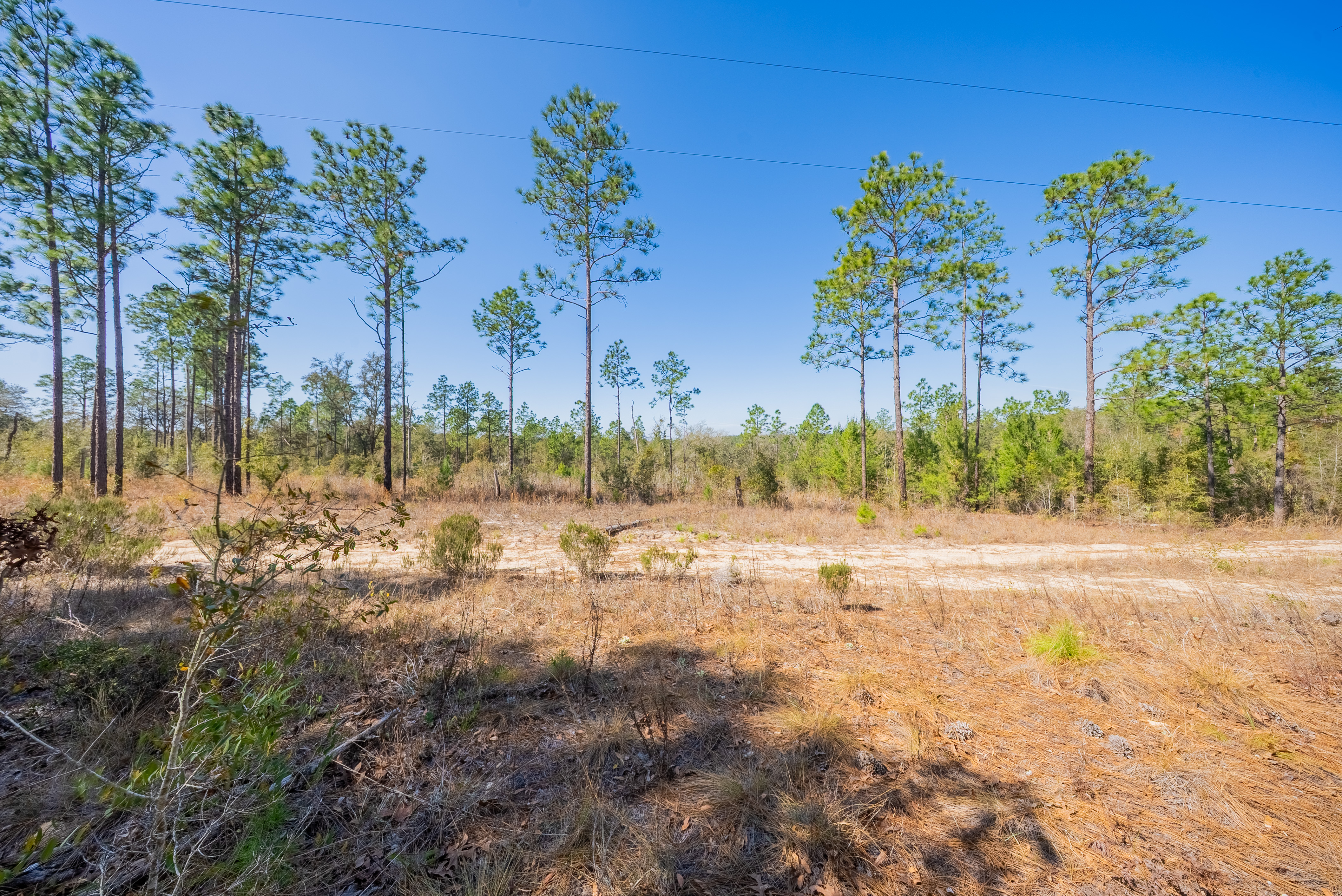 Property View 7