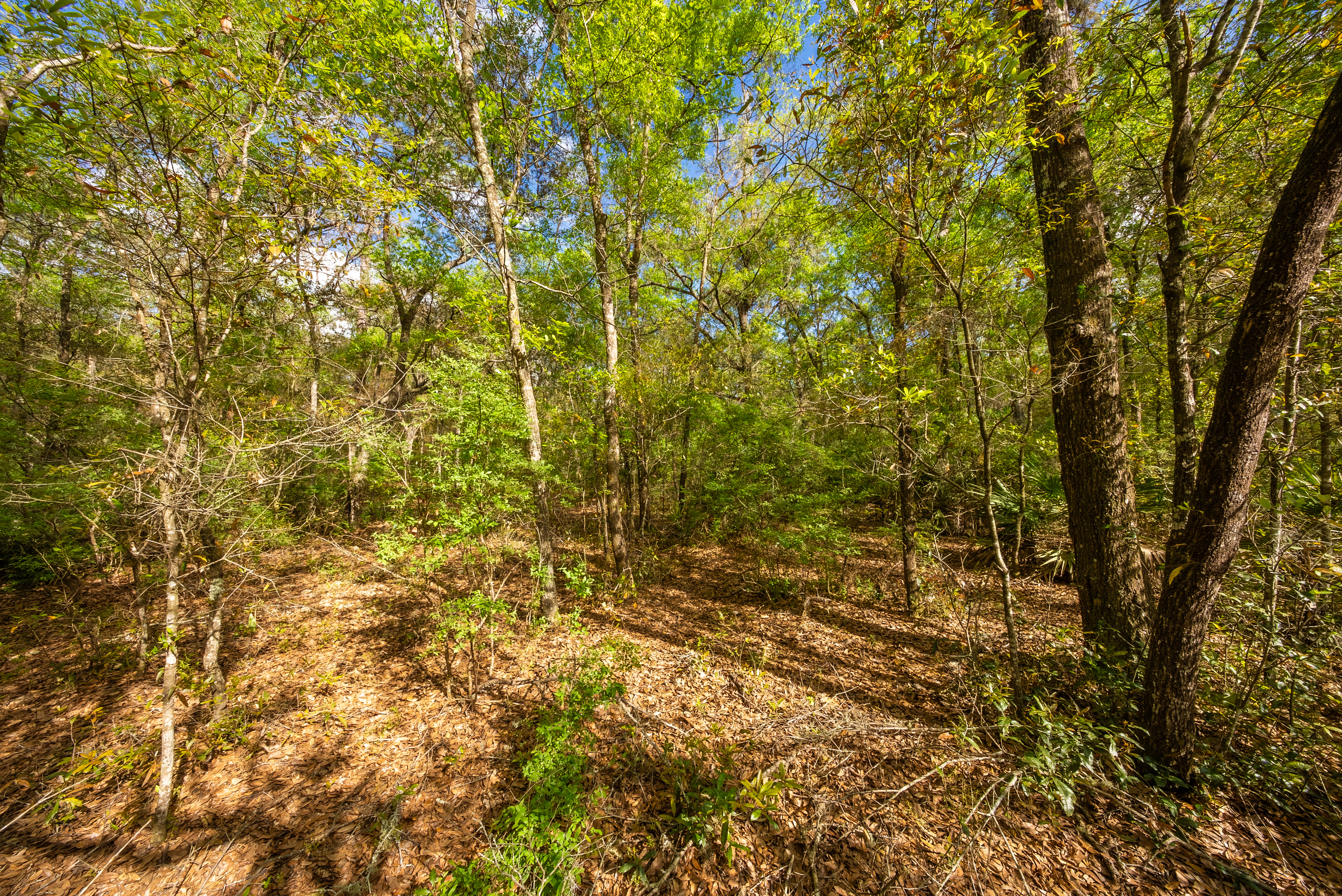 Property View 6