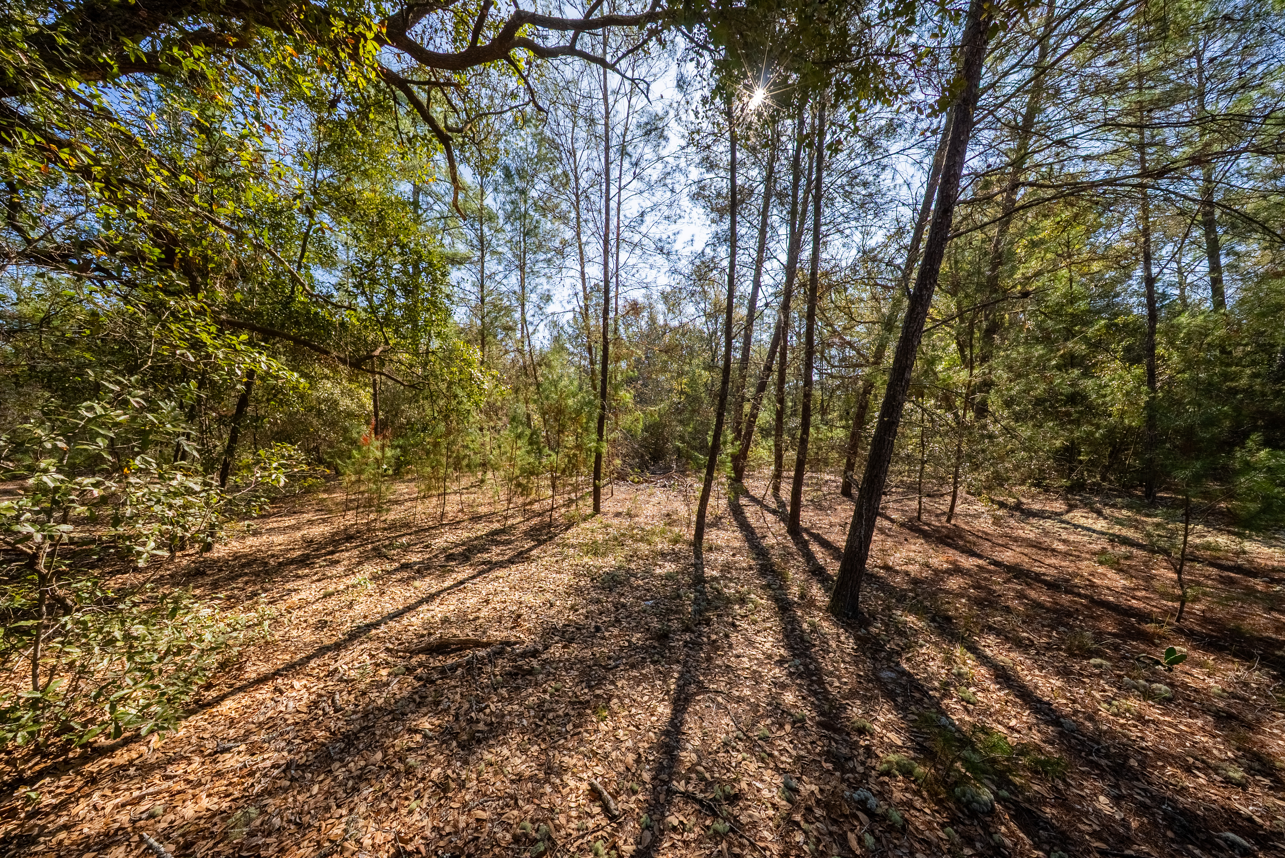 Property View 7
