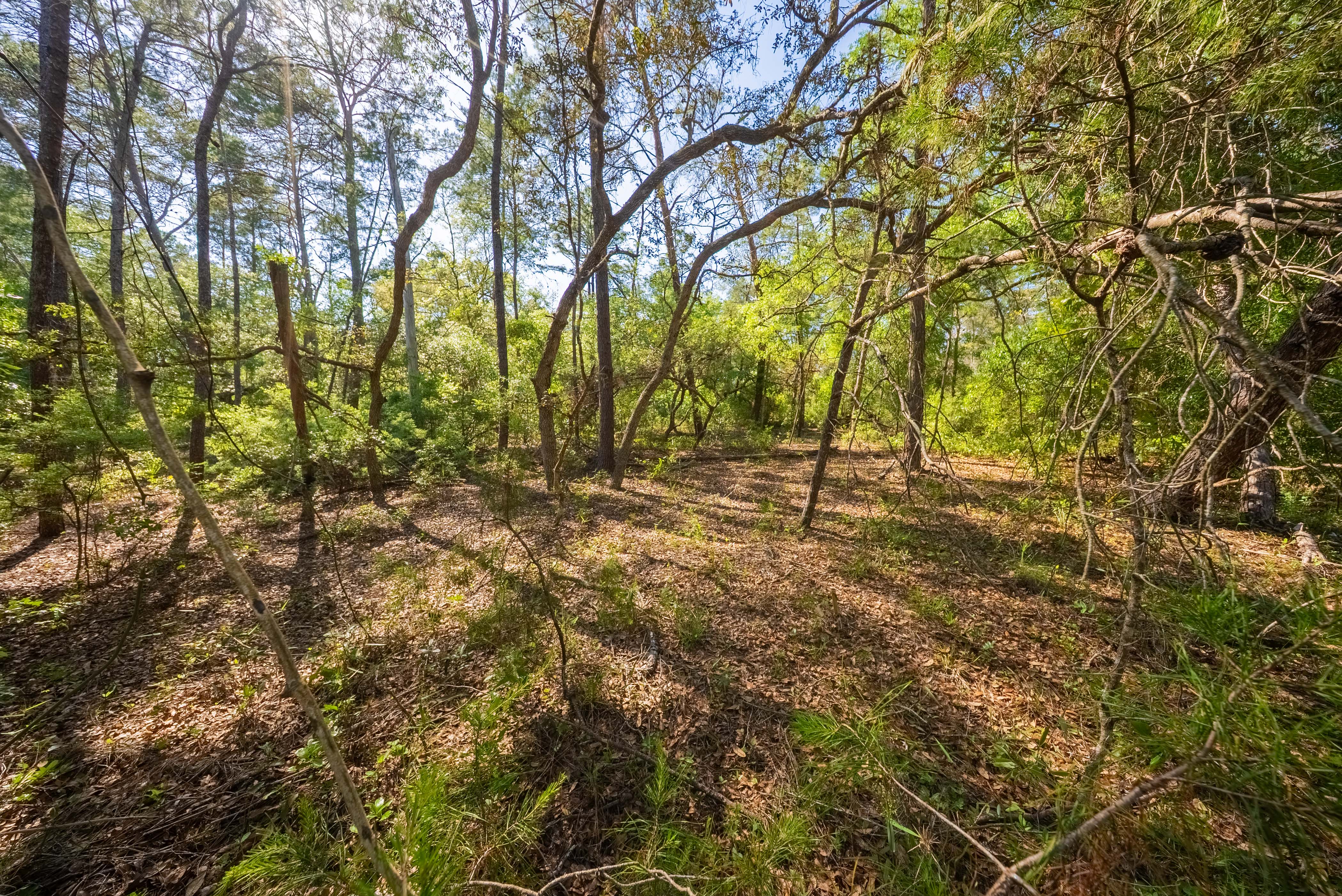 Property View 13