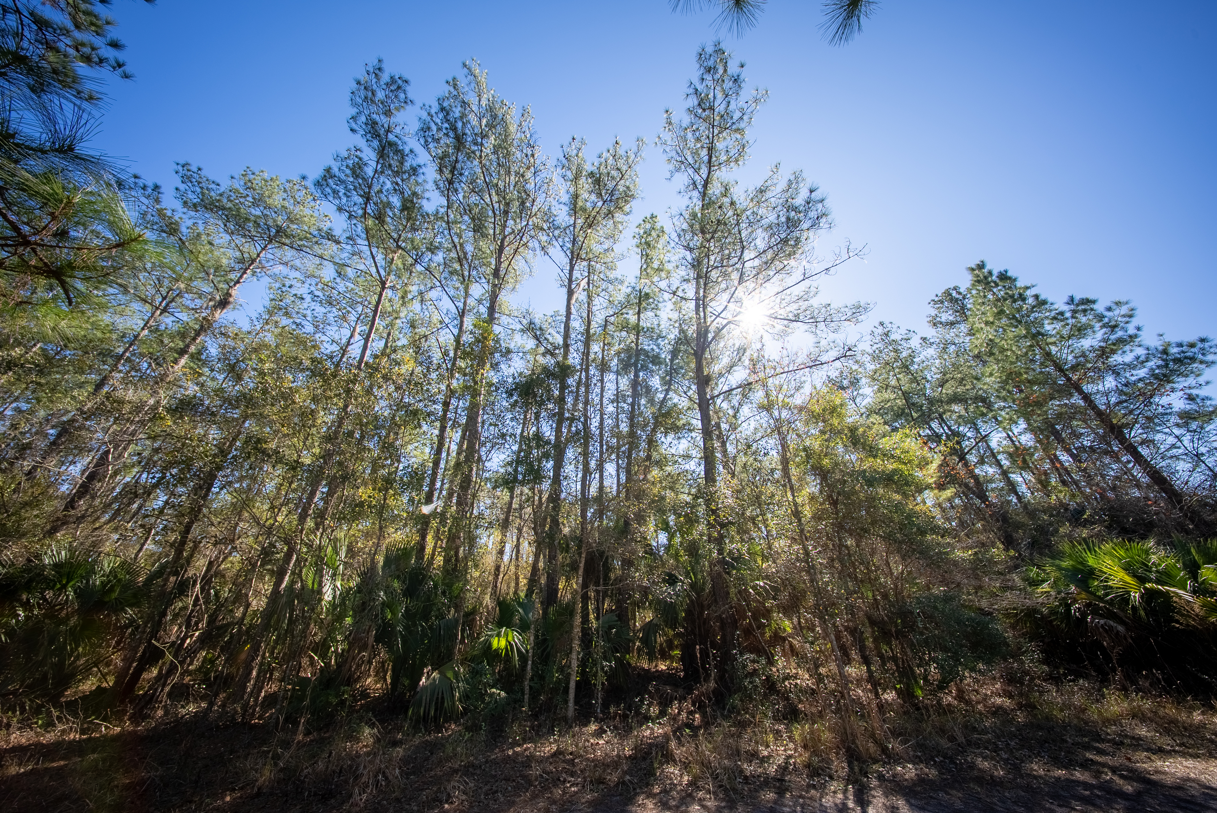 Property View 10