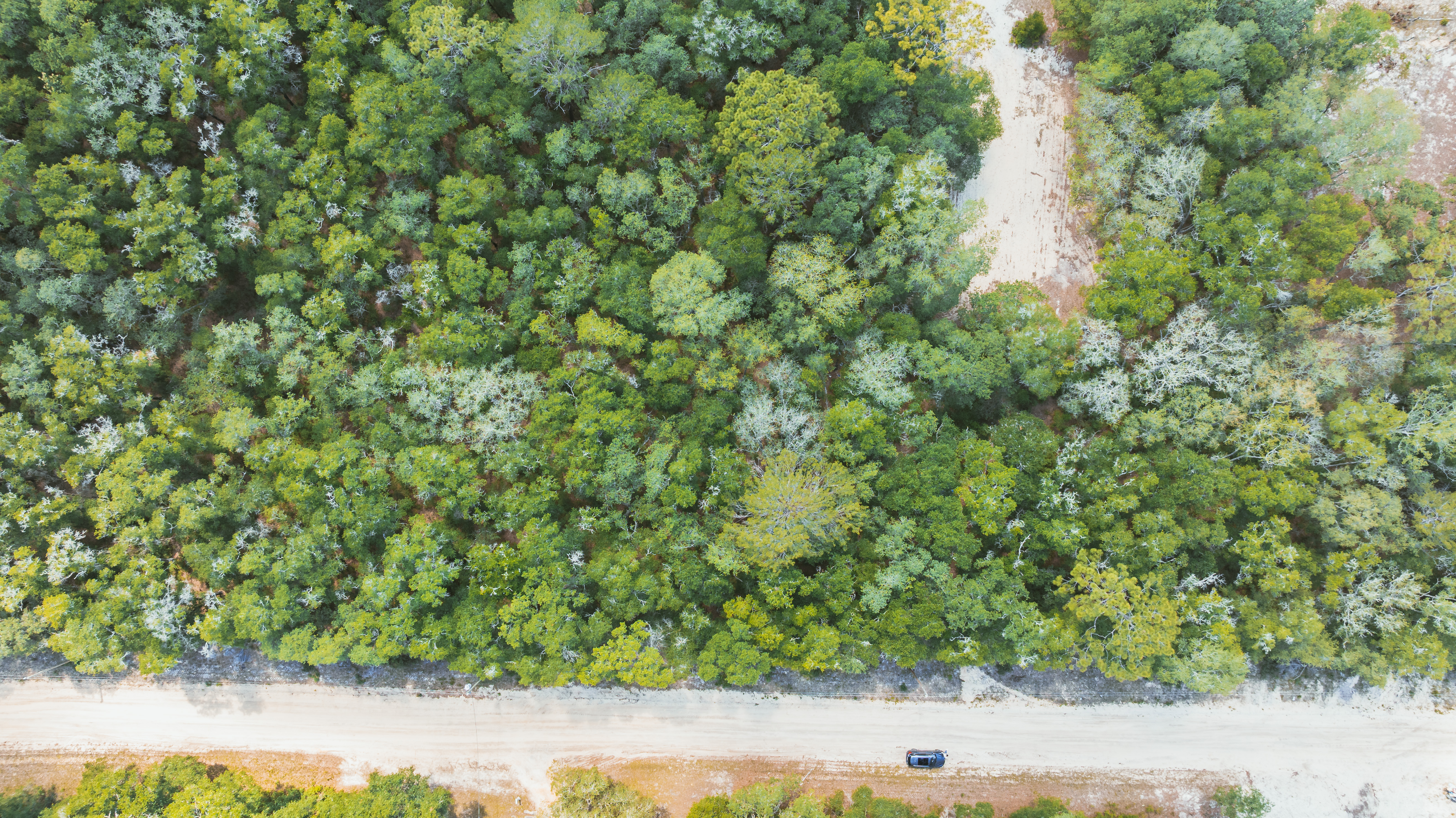 Property View 5