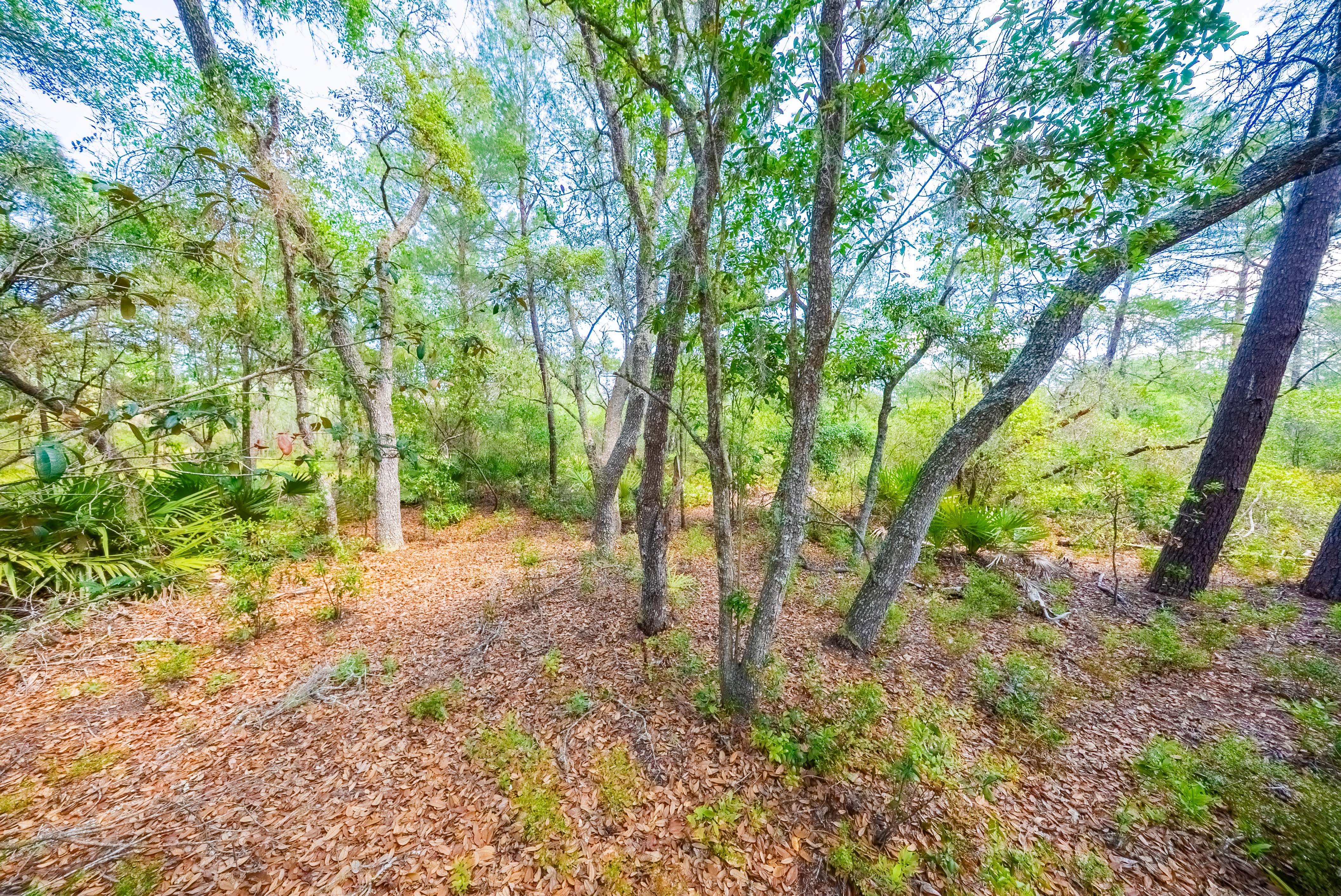 Property View 8