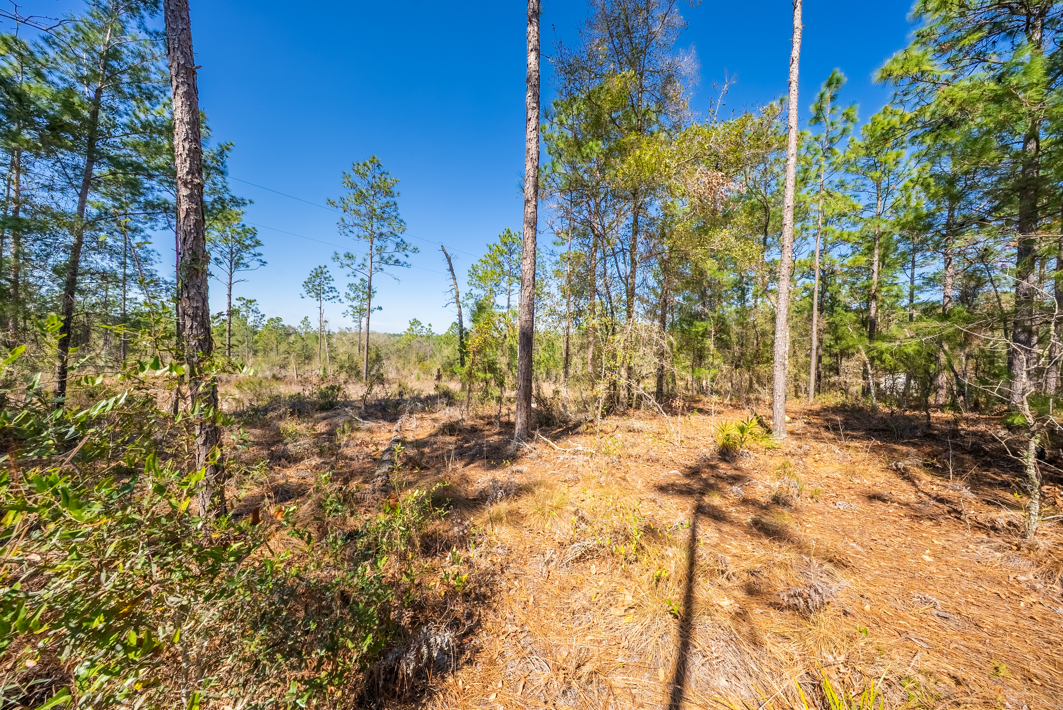 Property View 9