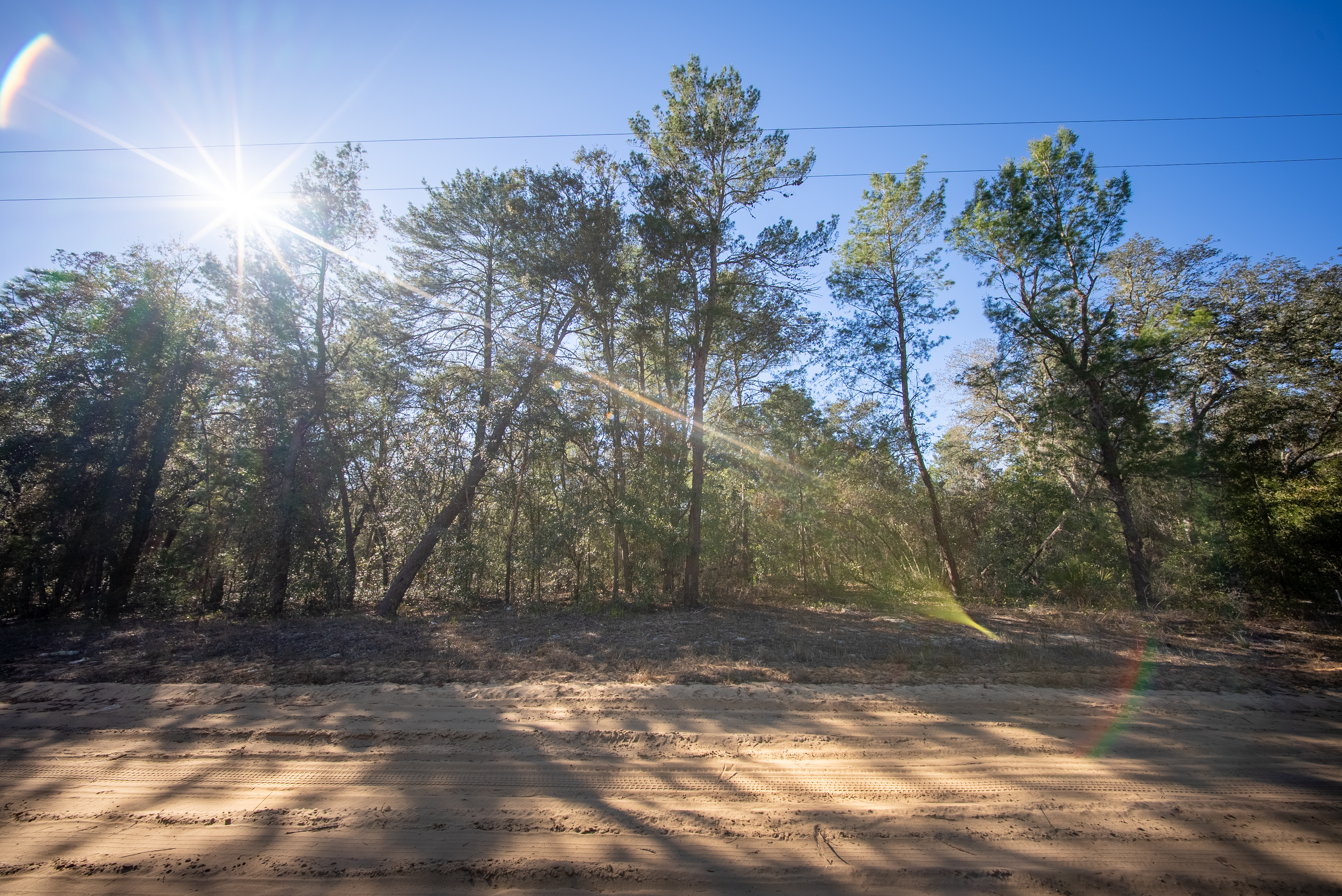 Property View 11