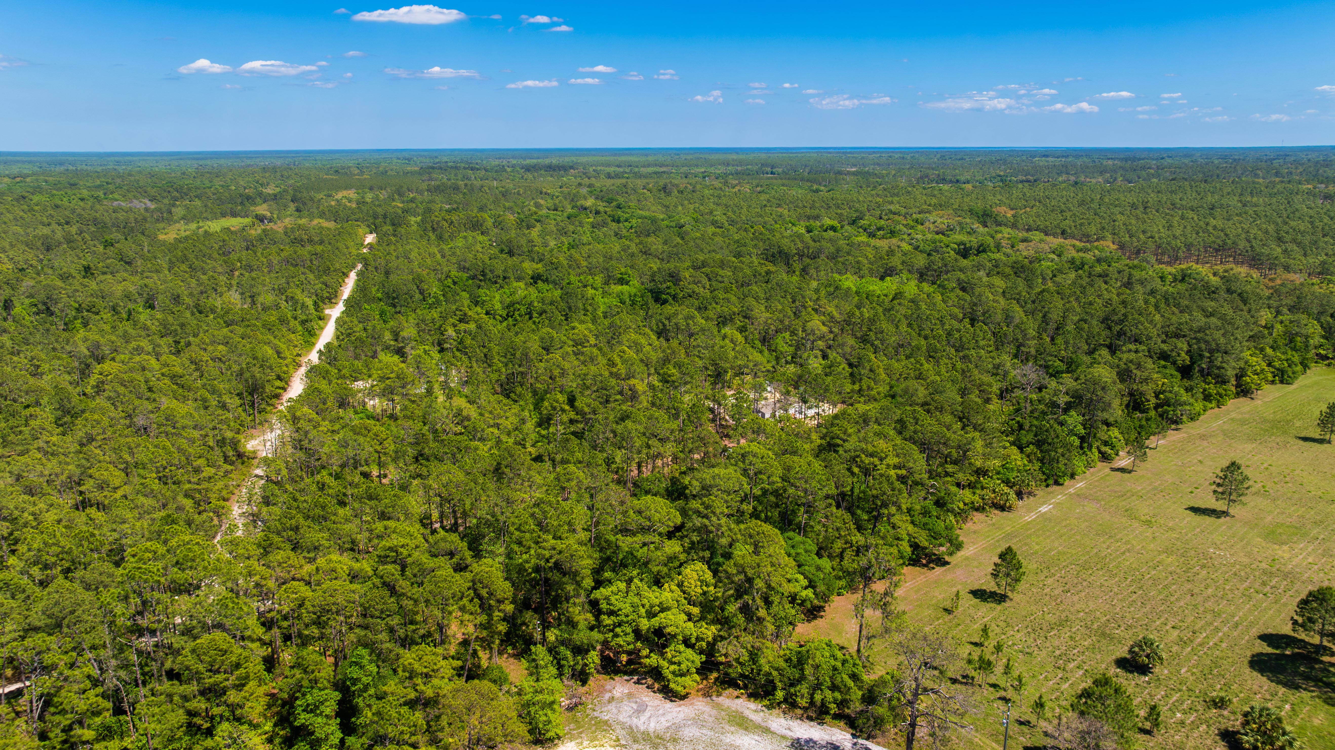 Property View 12