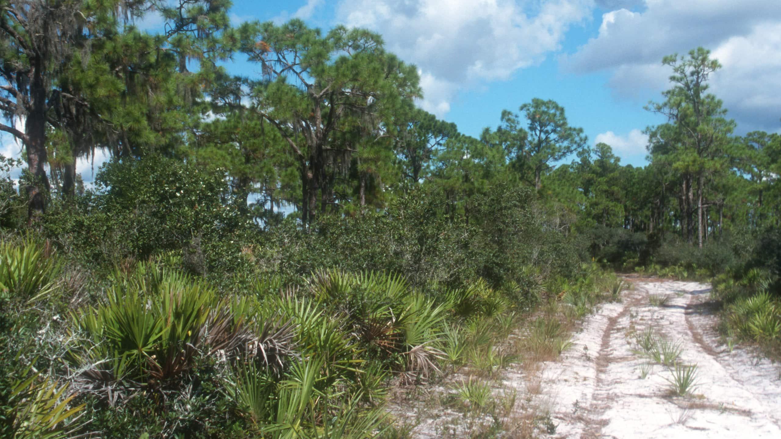 Property View 8
