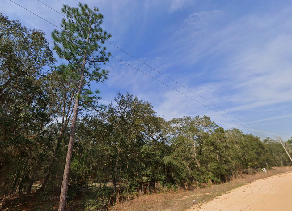 Property View 9