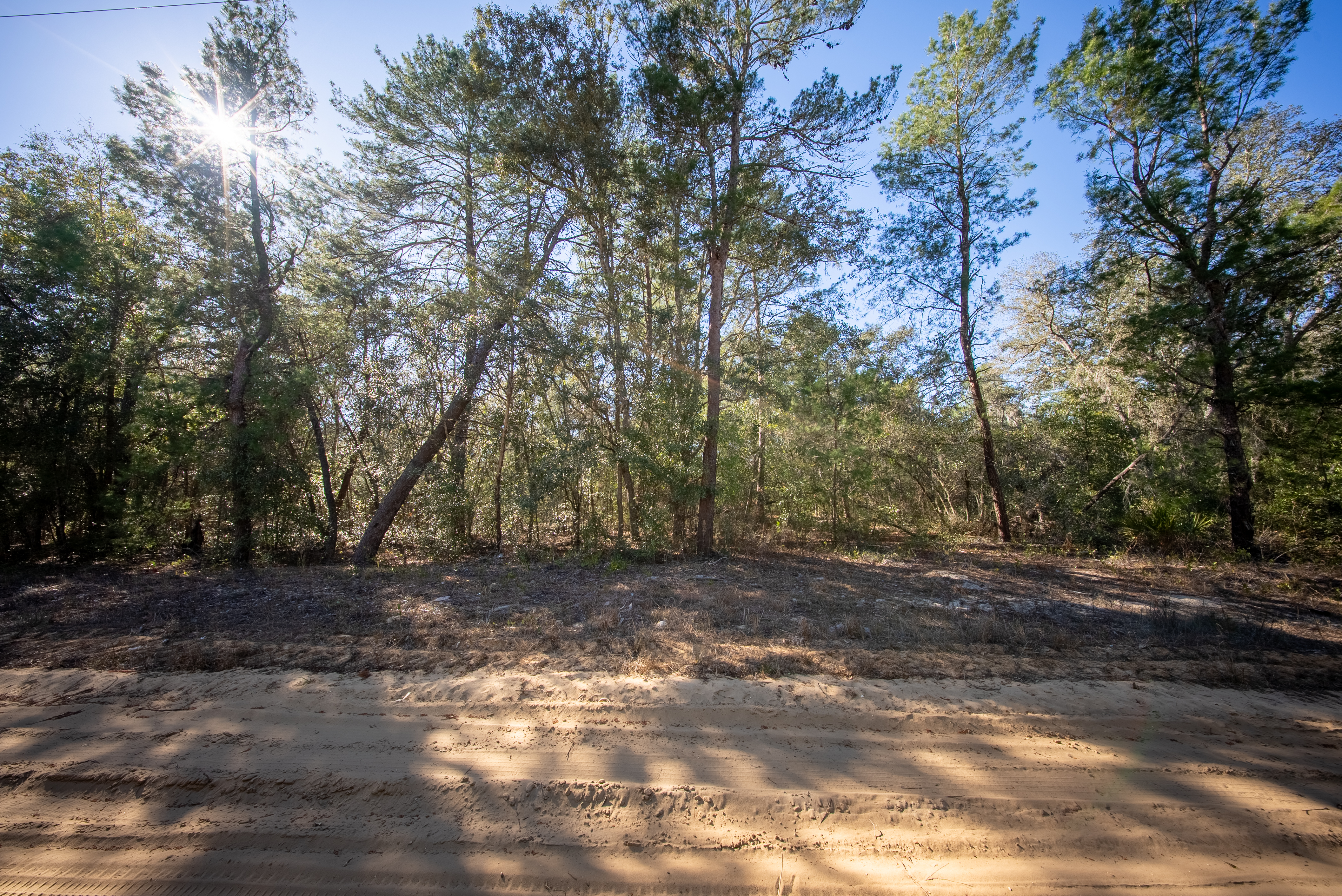 Property View 12