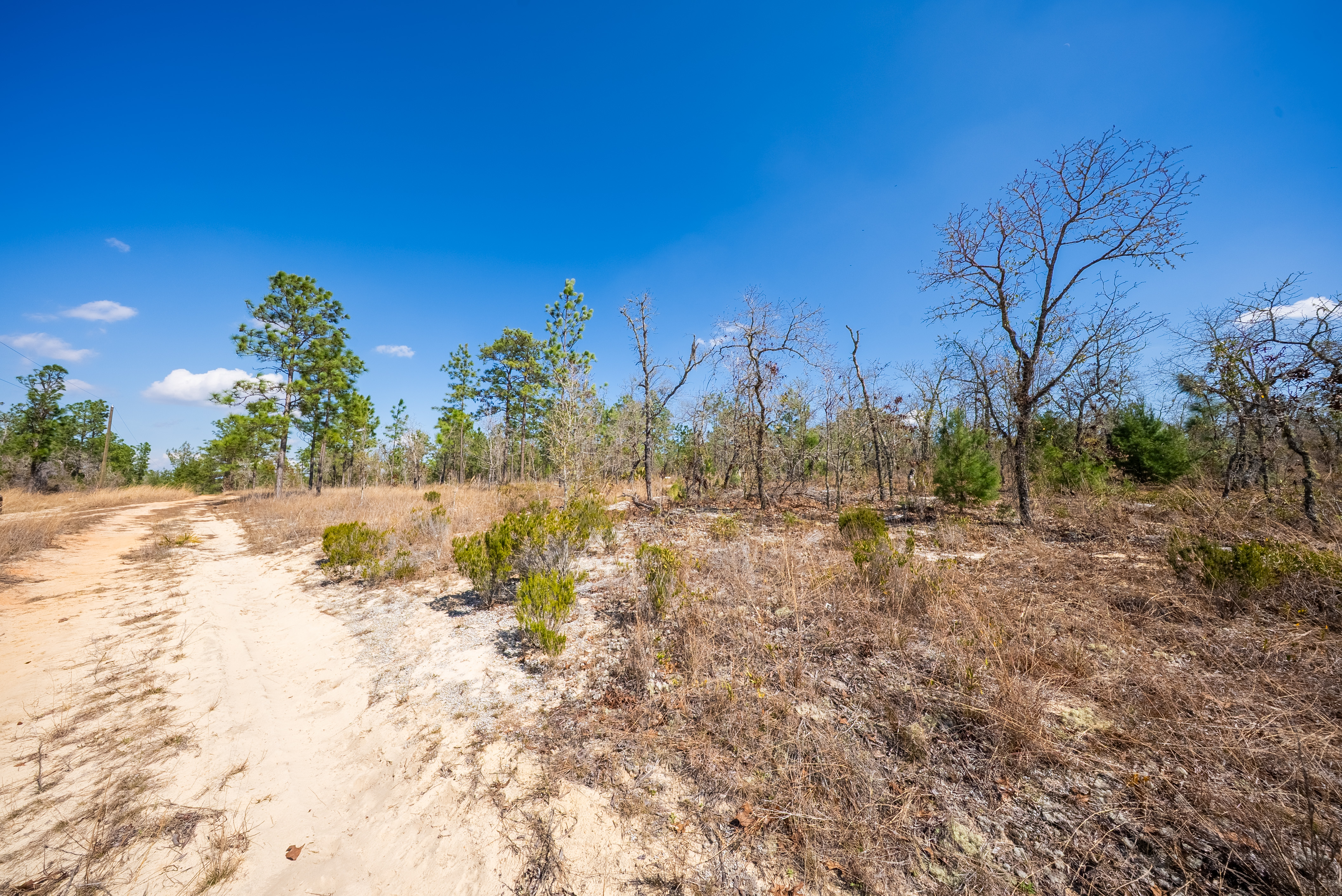 Property View 11