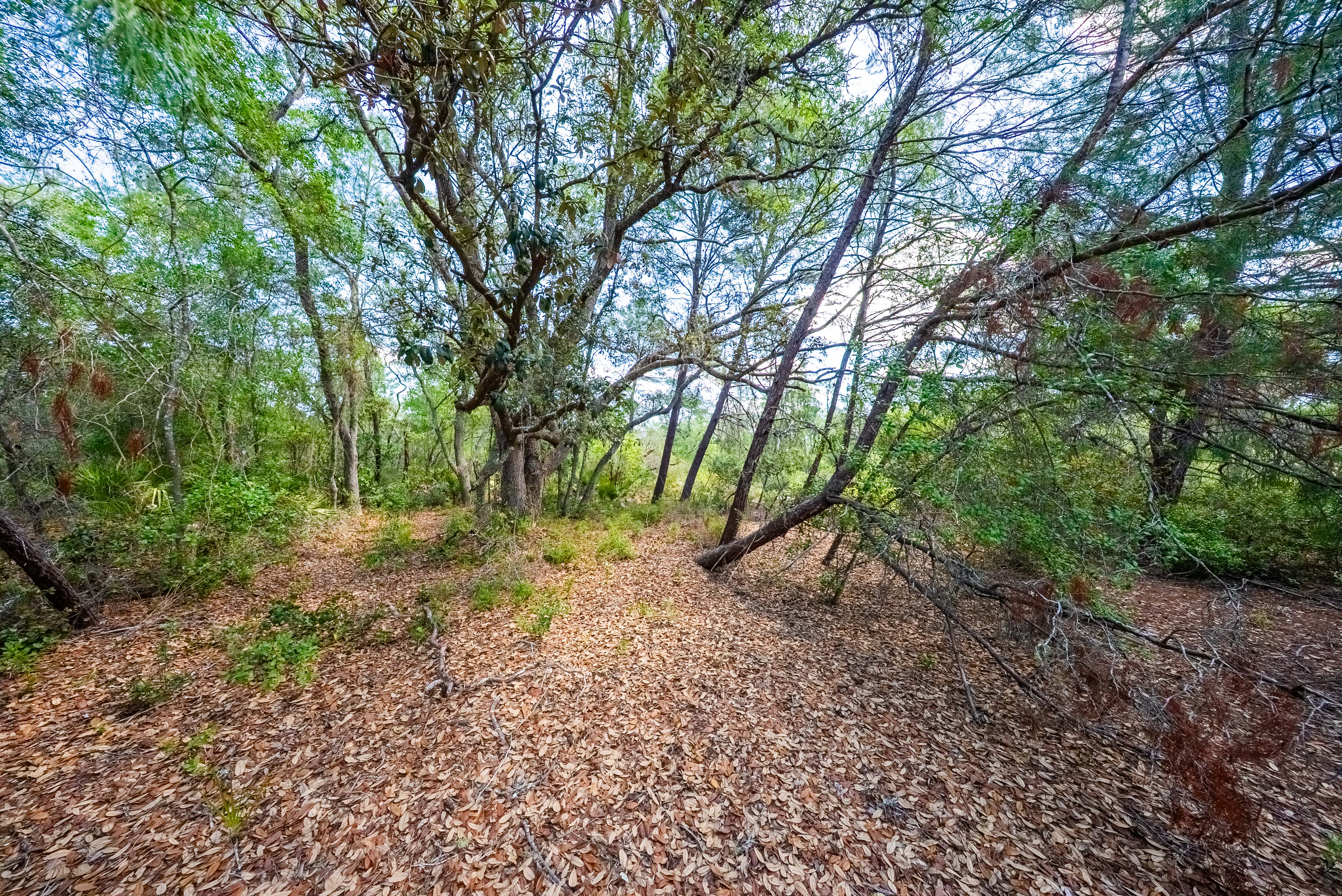 Property View 9