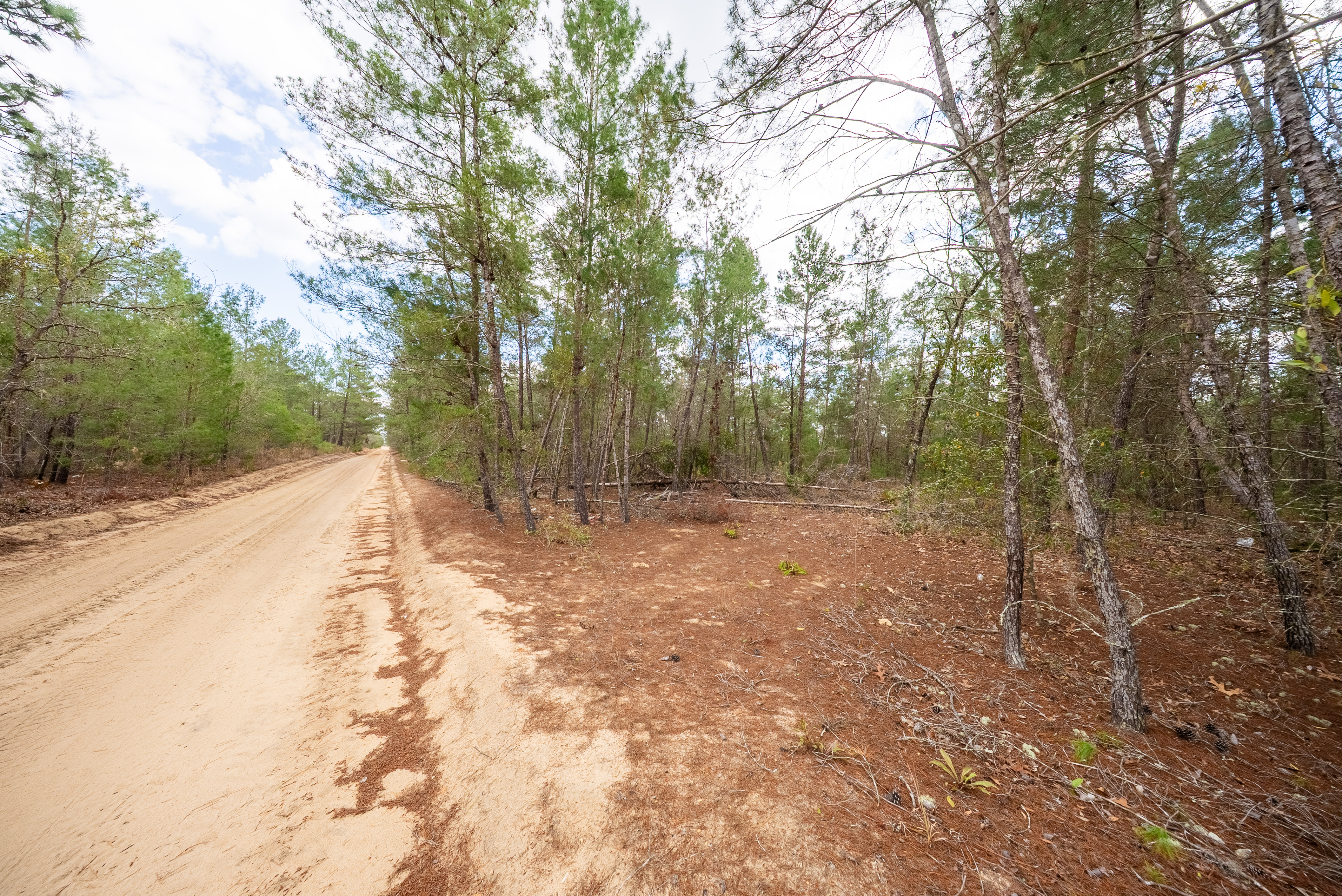 Property View 9