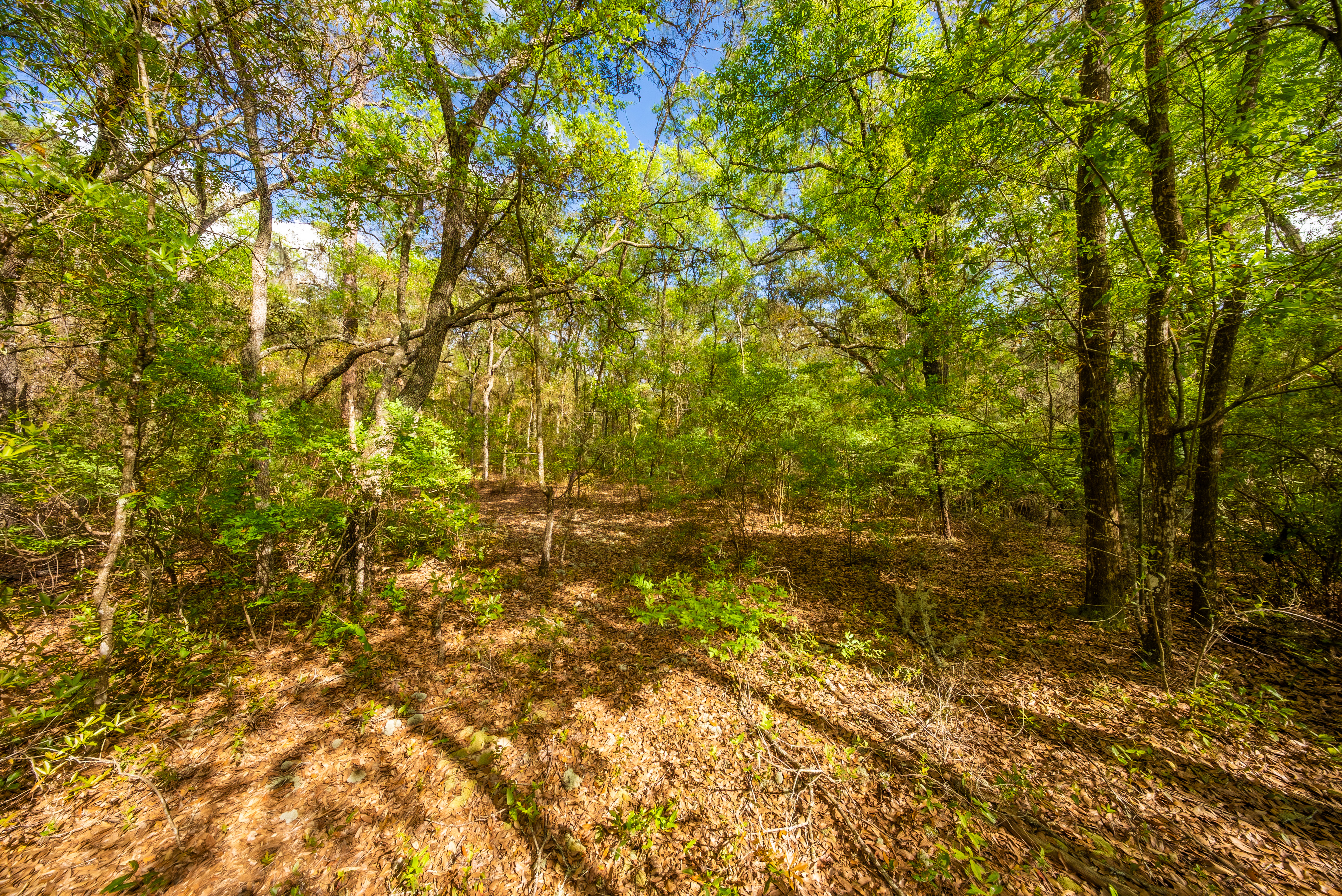 Property View 13