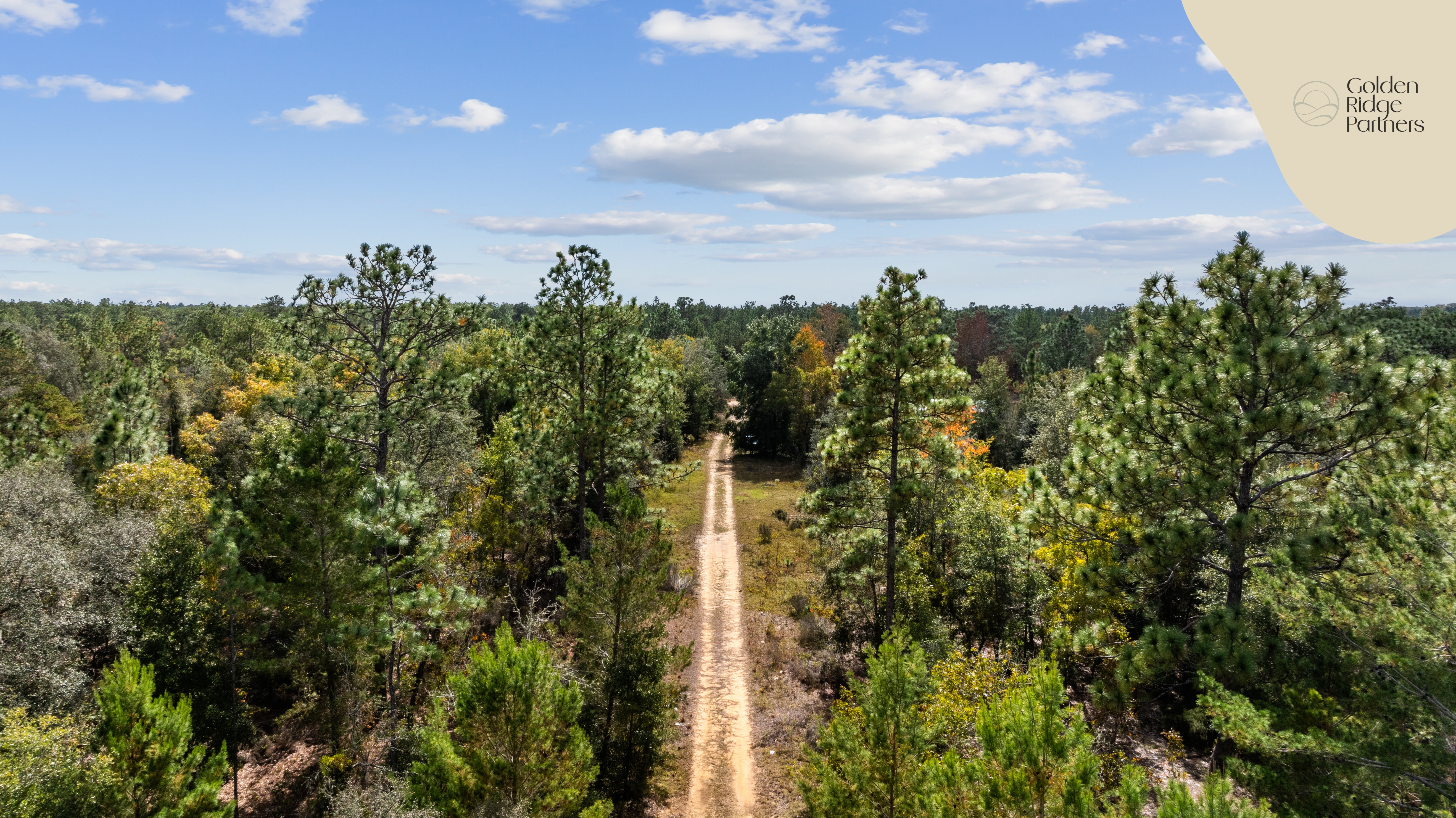 Property View 7